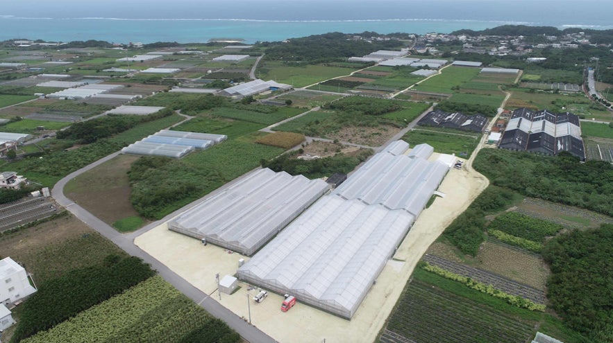 3番目のメイン画像