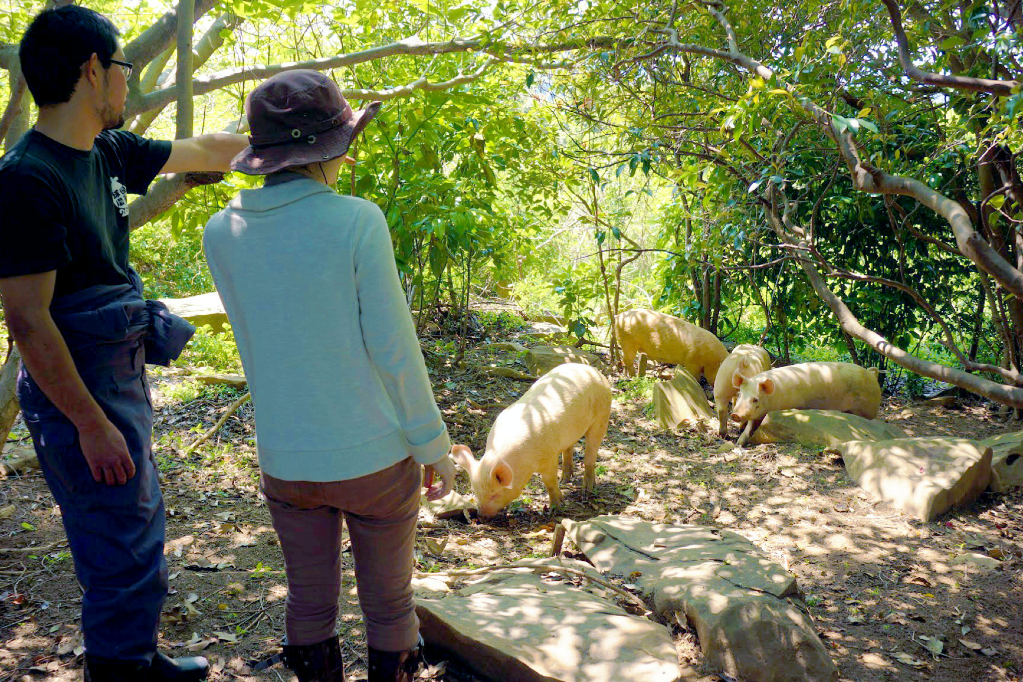 4番目のメイン画像