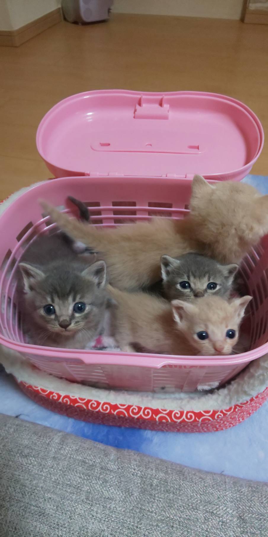 3番目のメイン画像