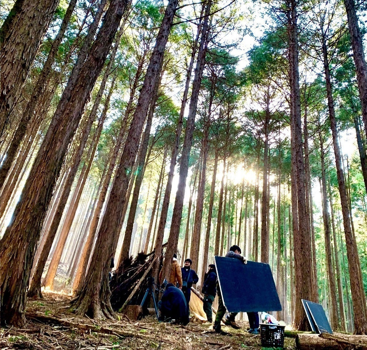 2番目のメイン画像