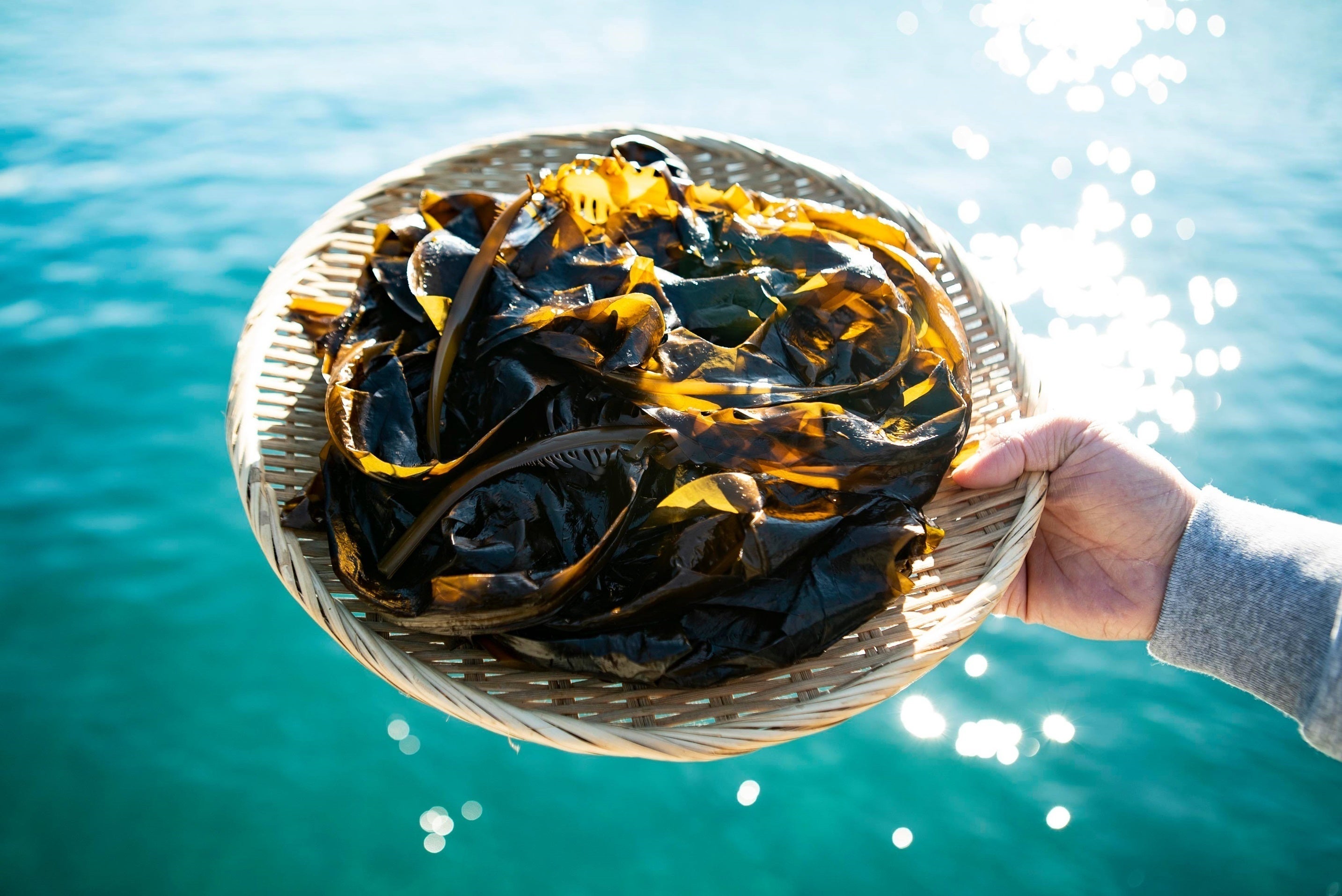 4番目のメイン画像