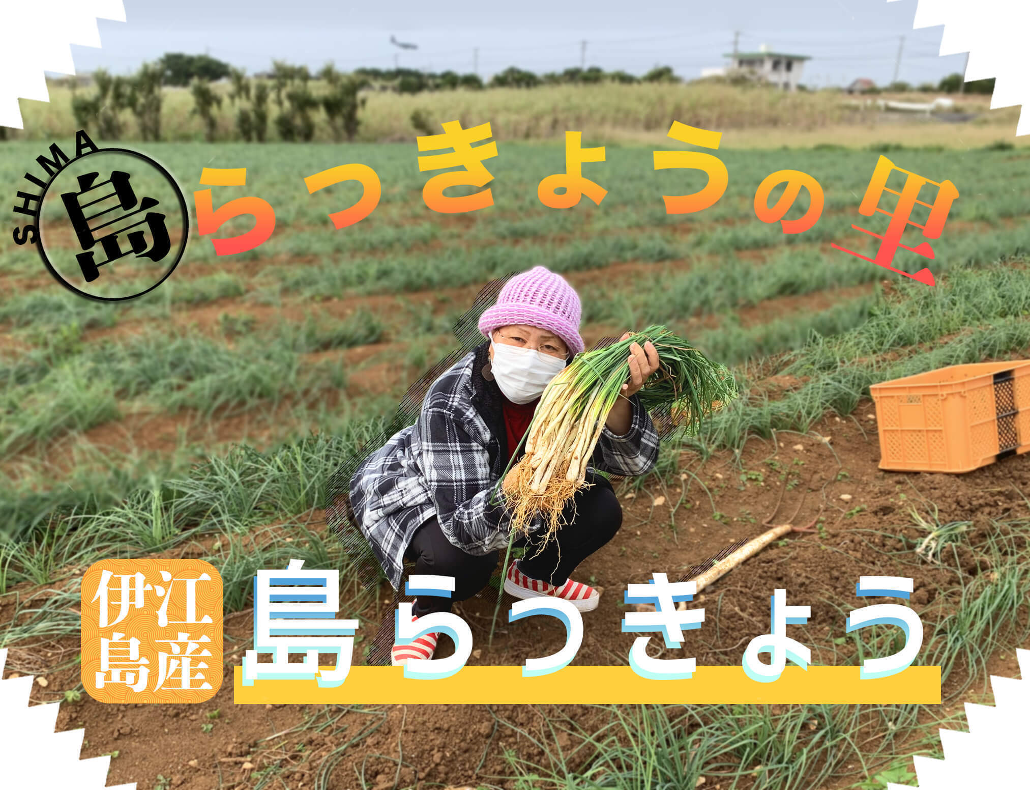 4番目のメイン画像