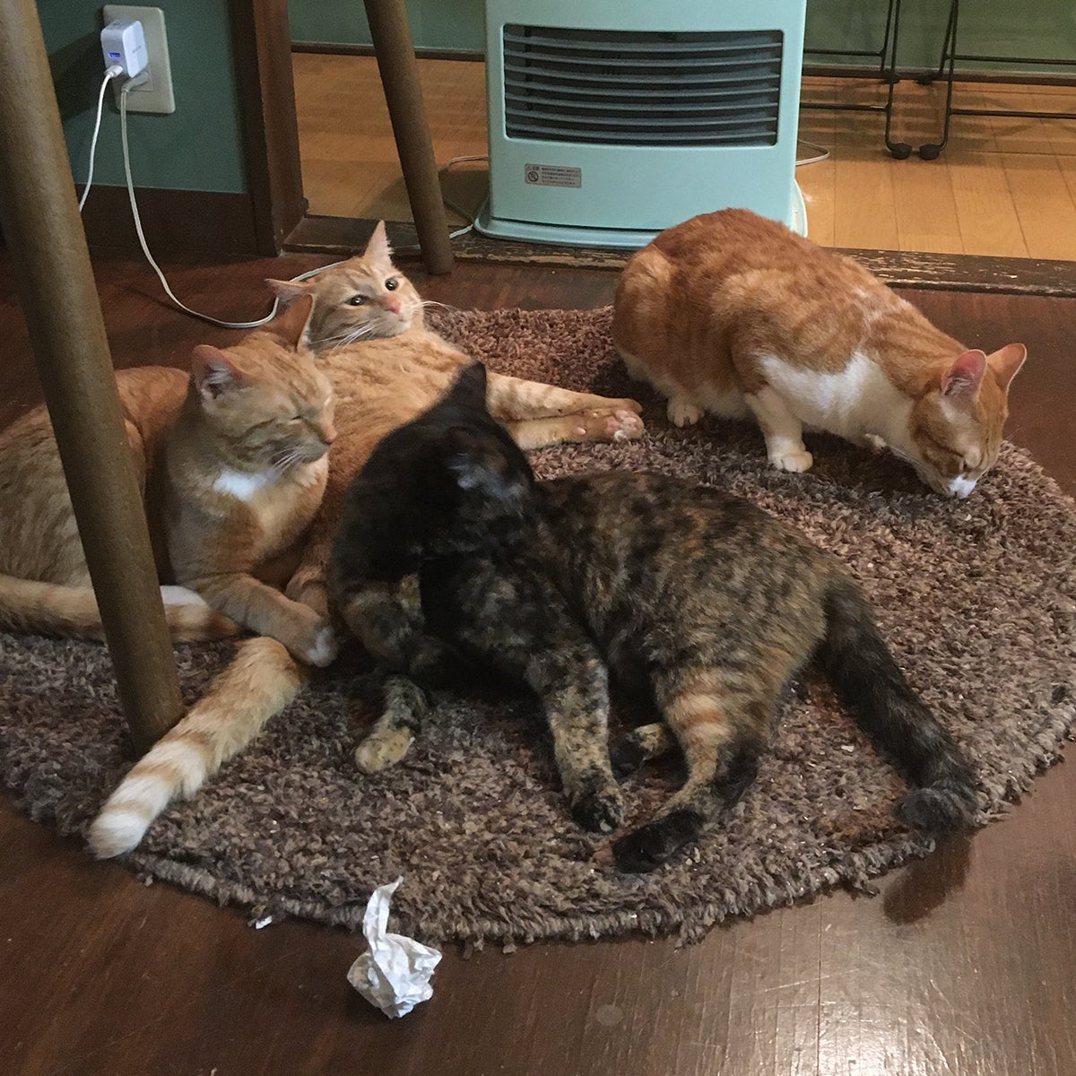 2番目のメイン画像