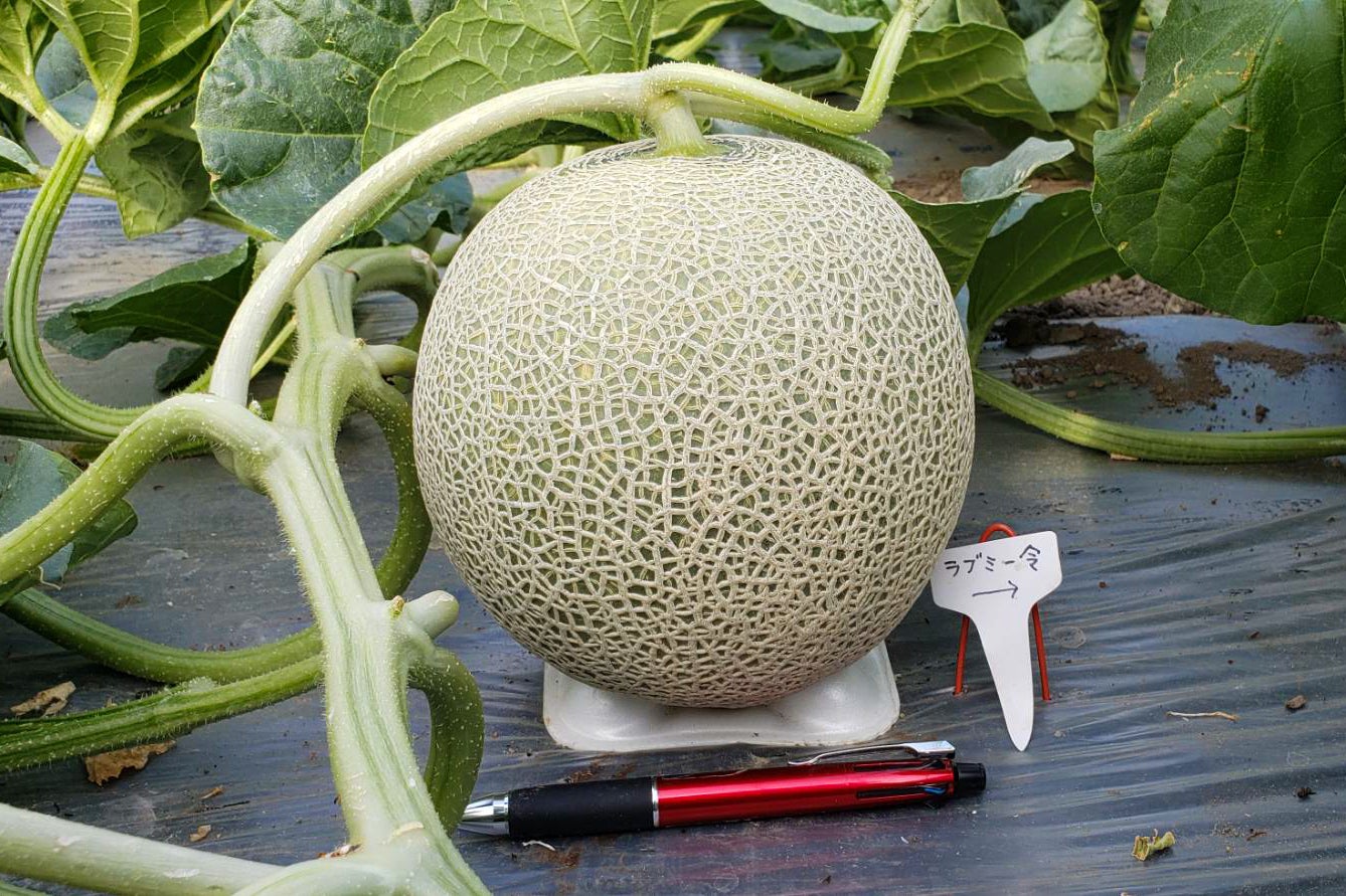 4番目のメイン画像