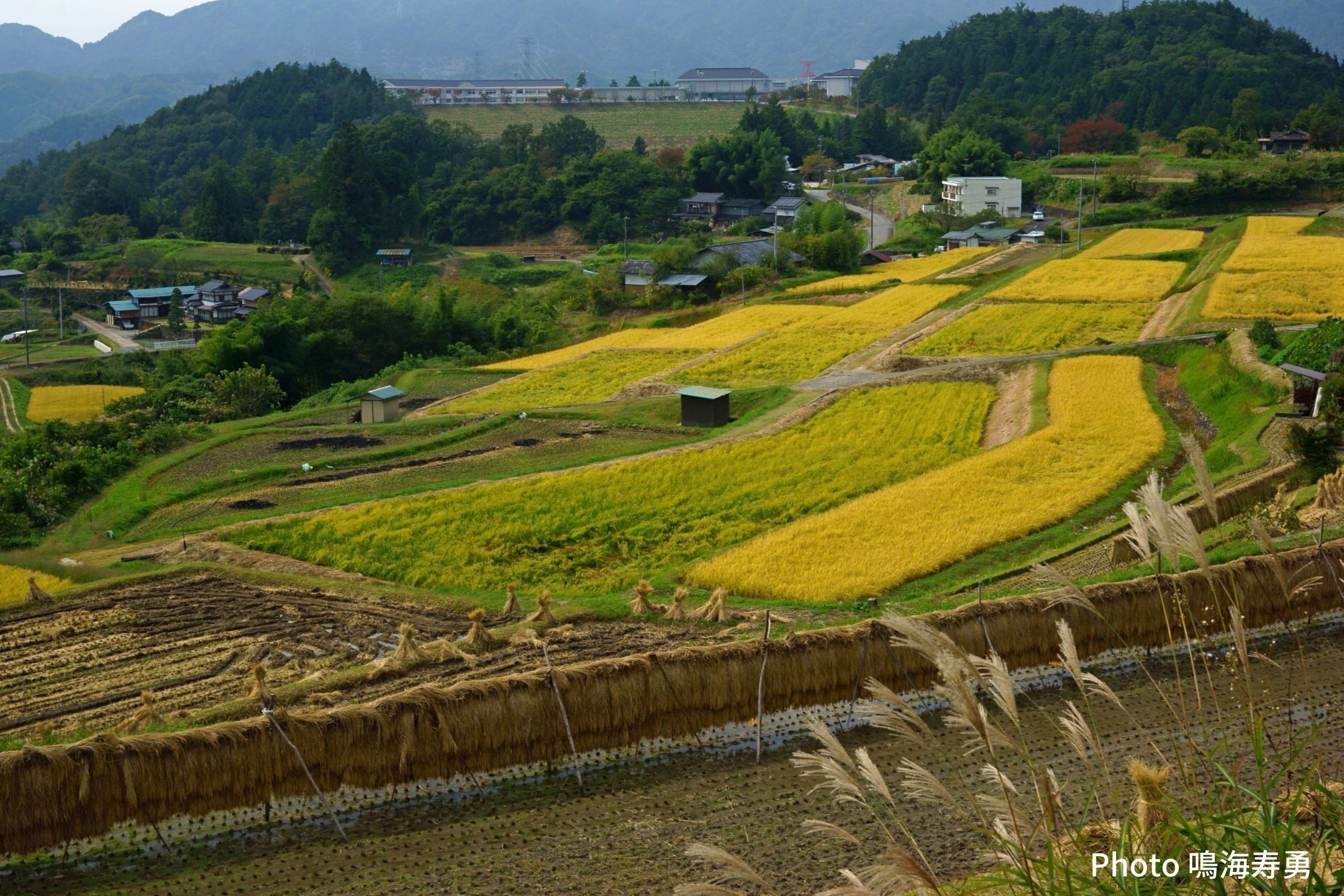 4番目のメイン画像