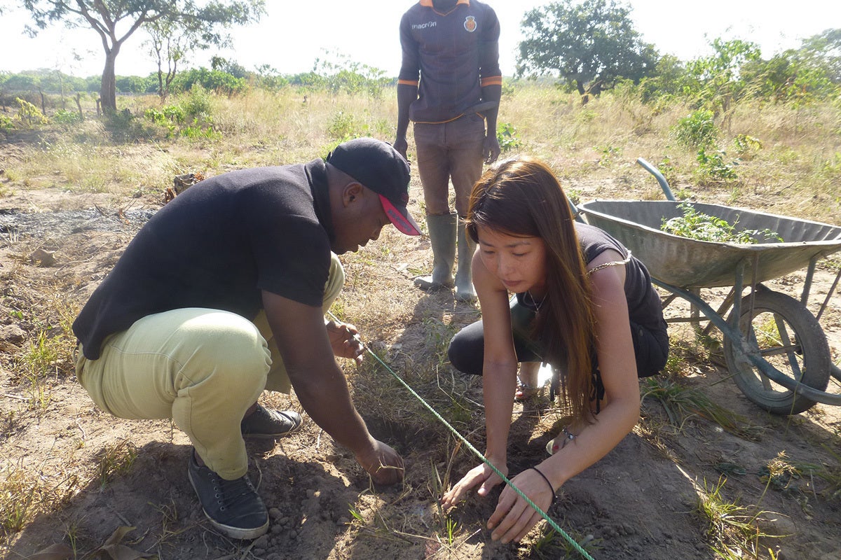 2番目のメイン画像