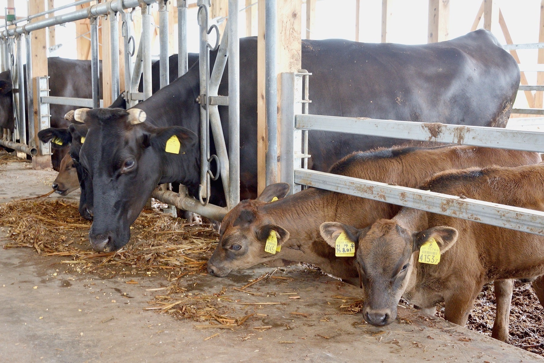 4番目のメイン画像