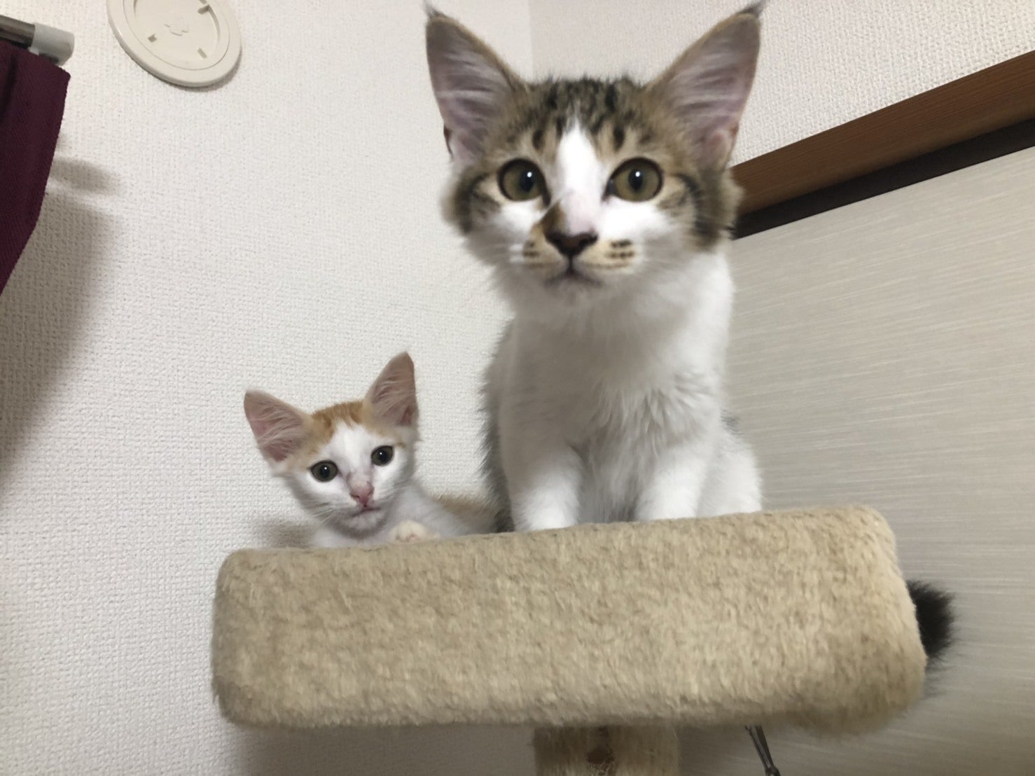 3番目のメイン画像