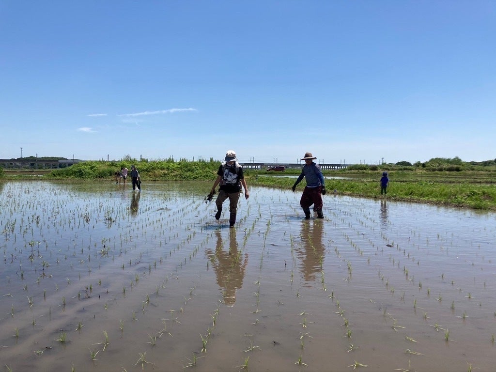 5番目のメイン画像