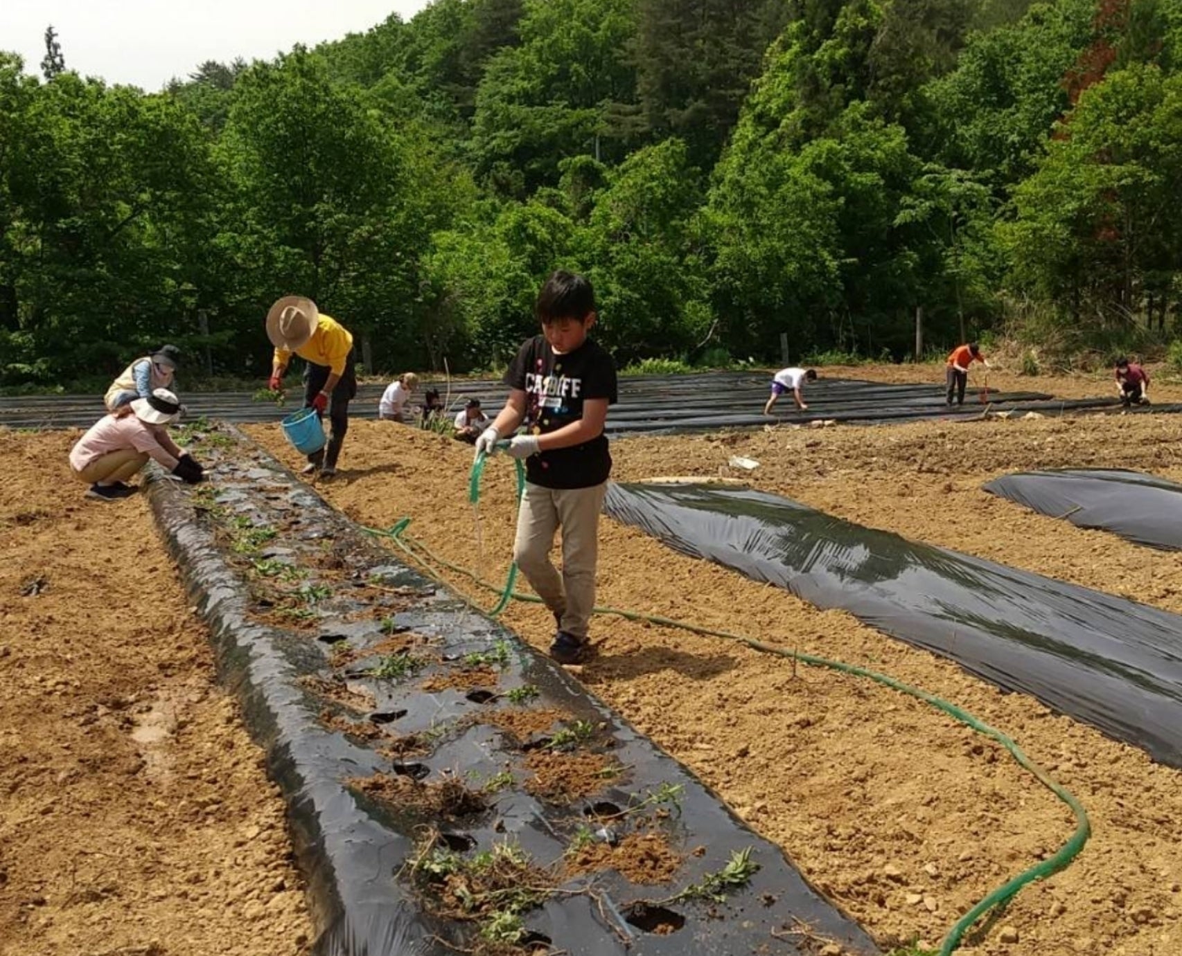 2番目のメイン画像