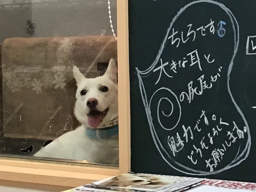 4番目のメイン画像