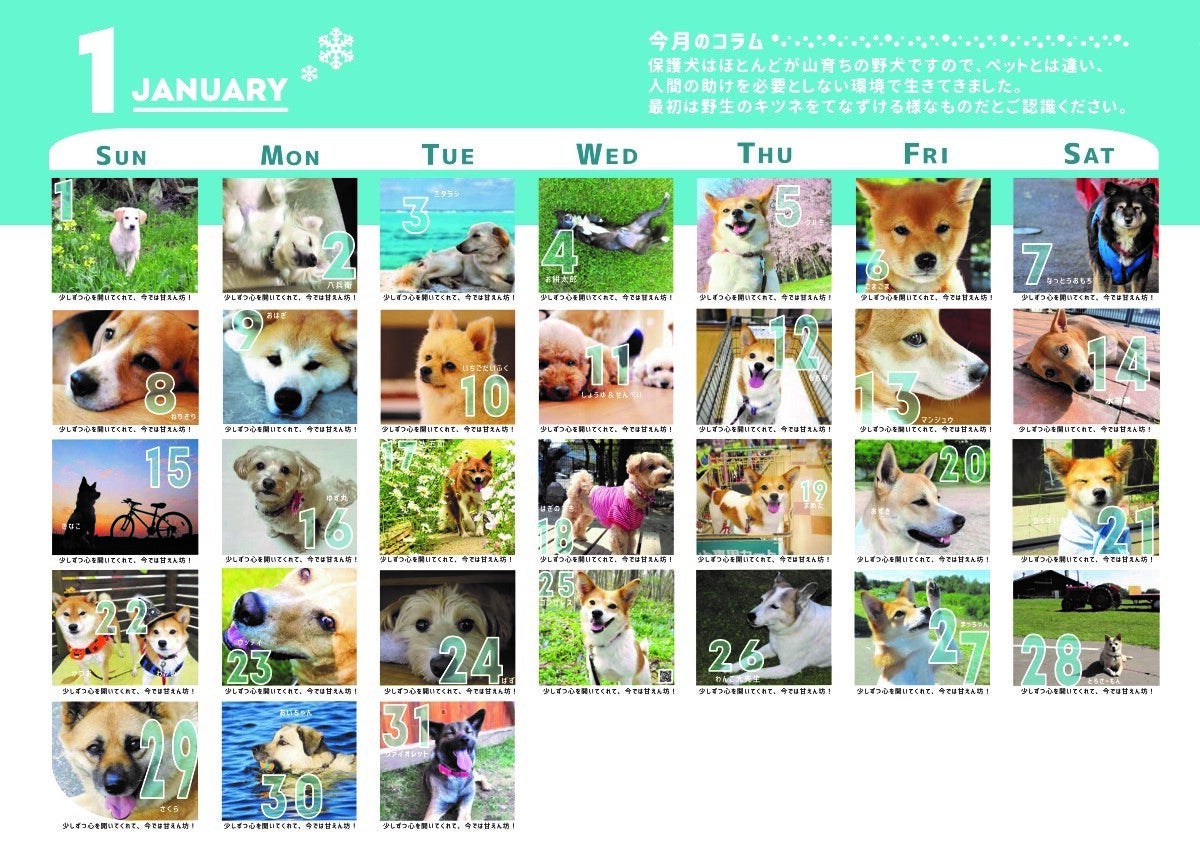 2番目のメイン画像