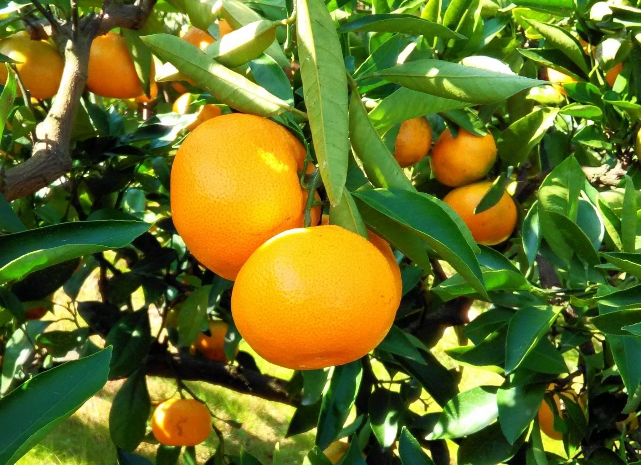 4番目のメイン画像