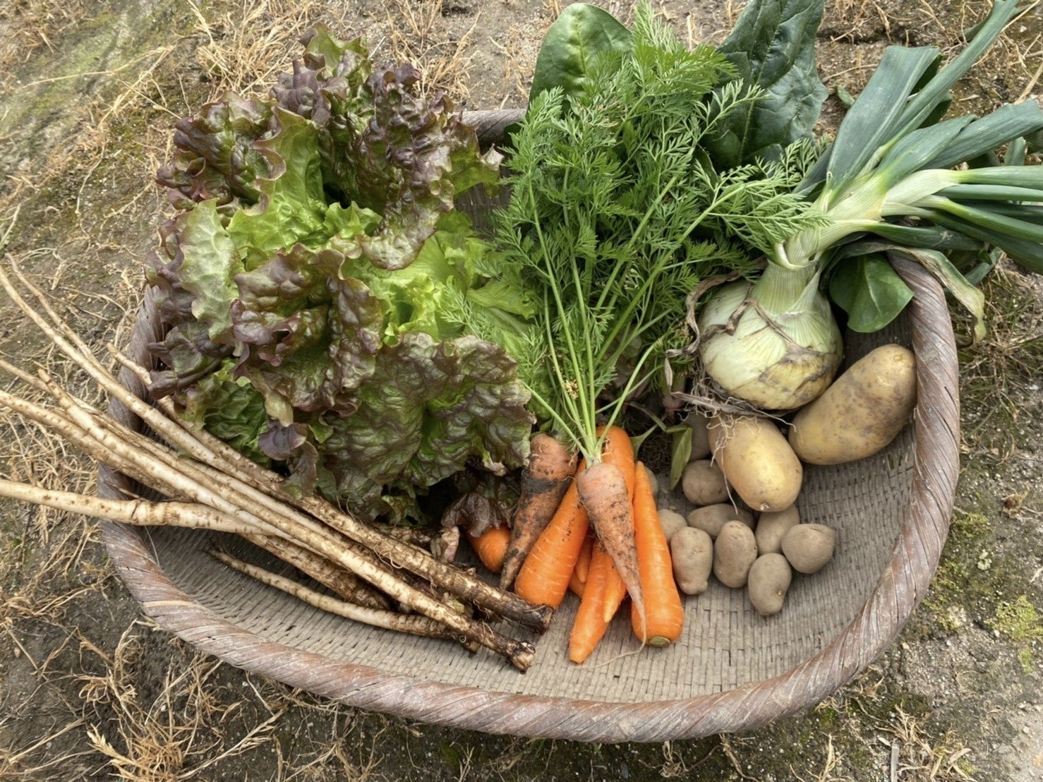 2番目のメイン画像