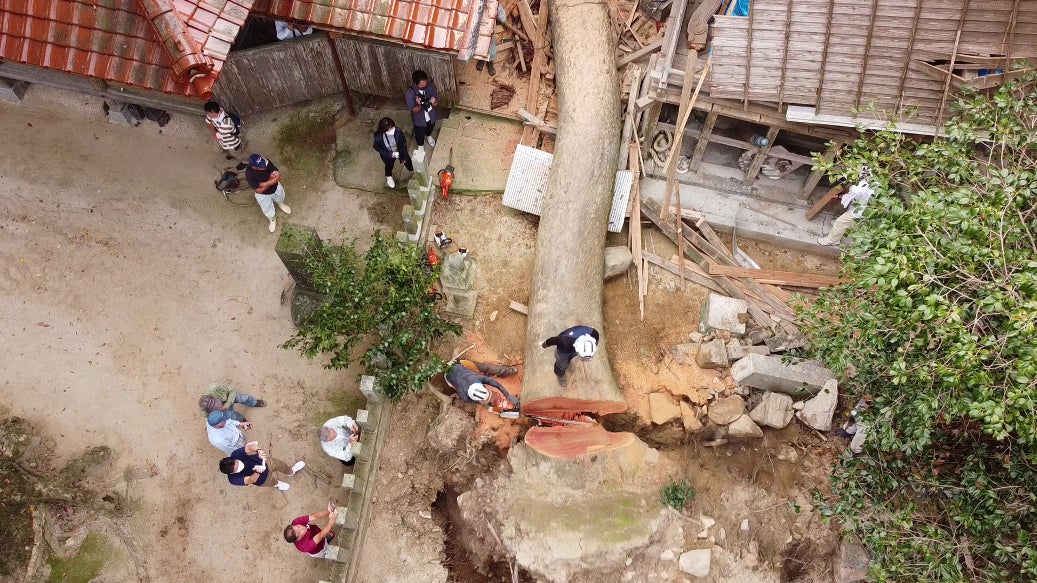 3番目のメイン画像