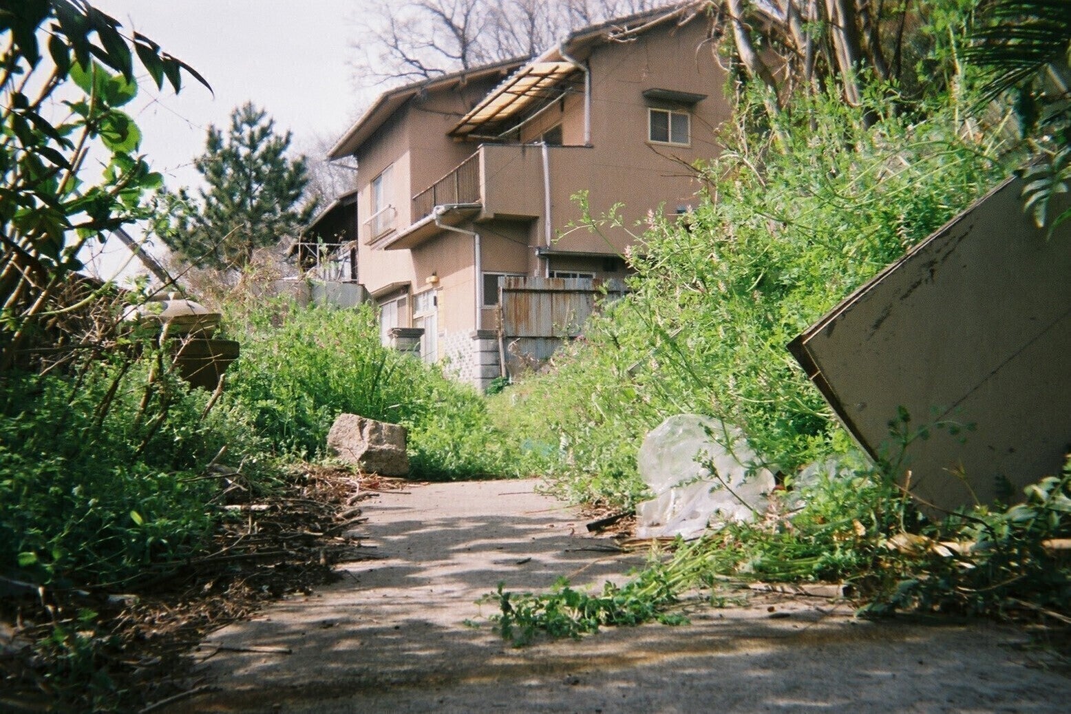 3番目のメイン画像