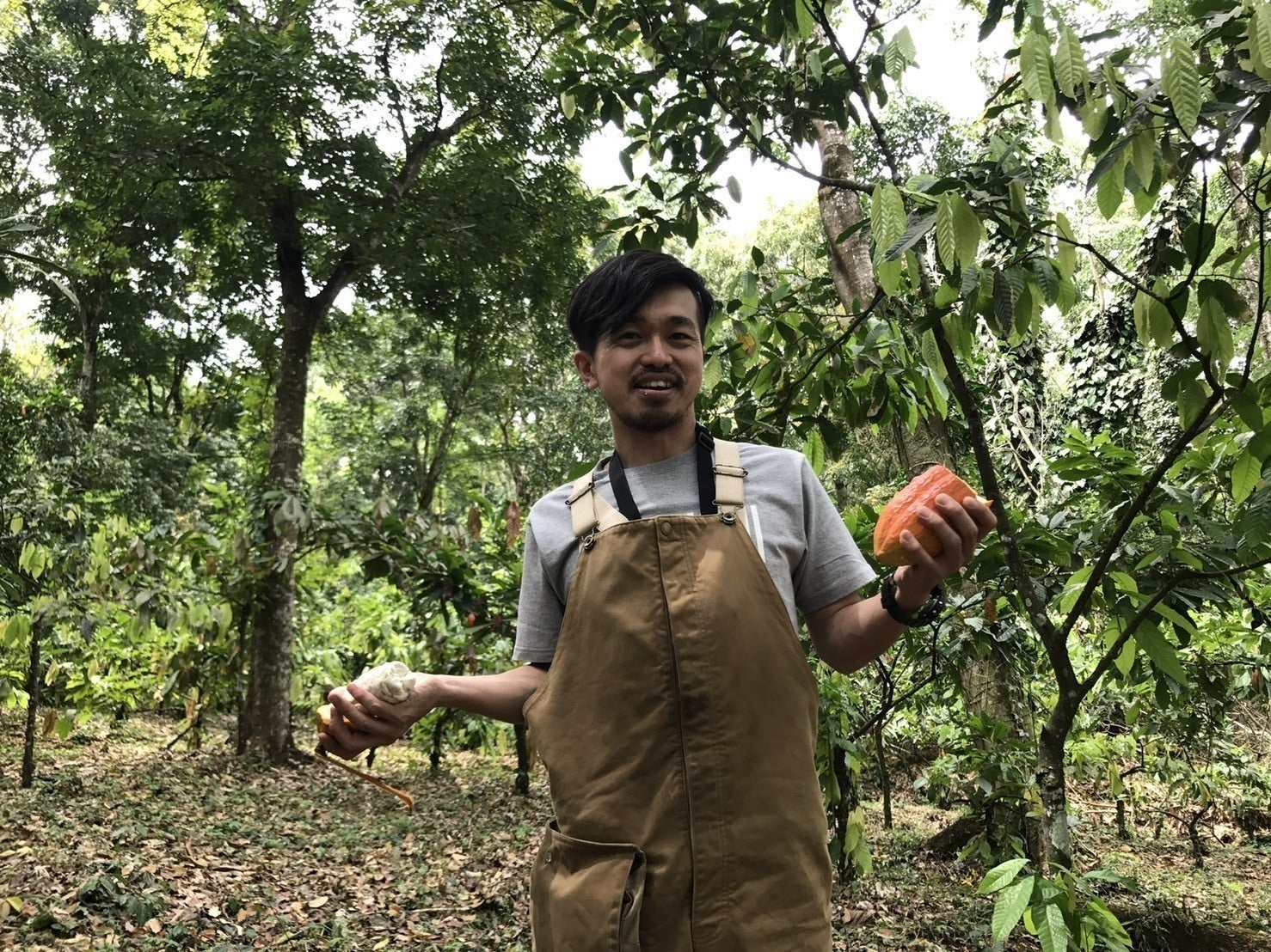 2番目のメイン画像