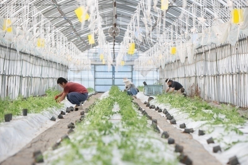 2番目のメイン画像