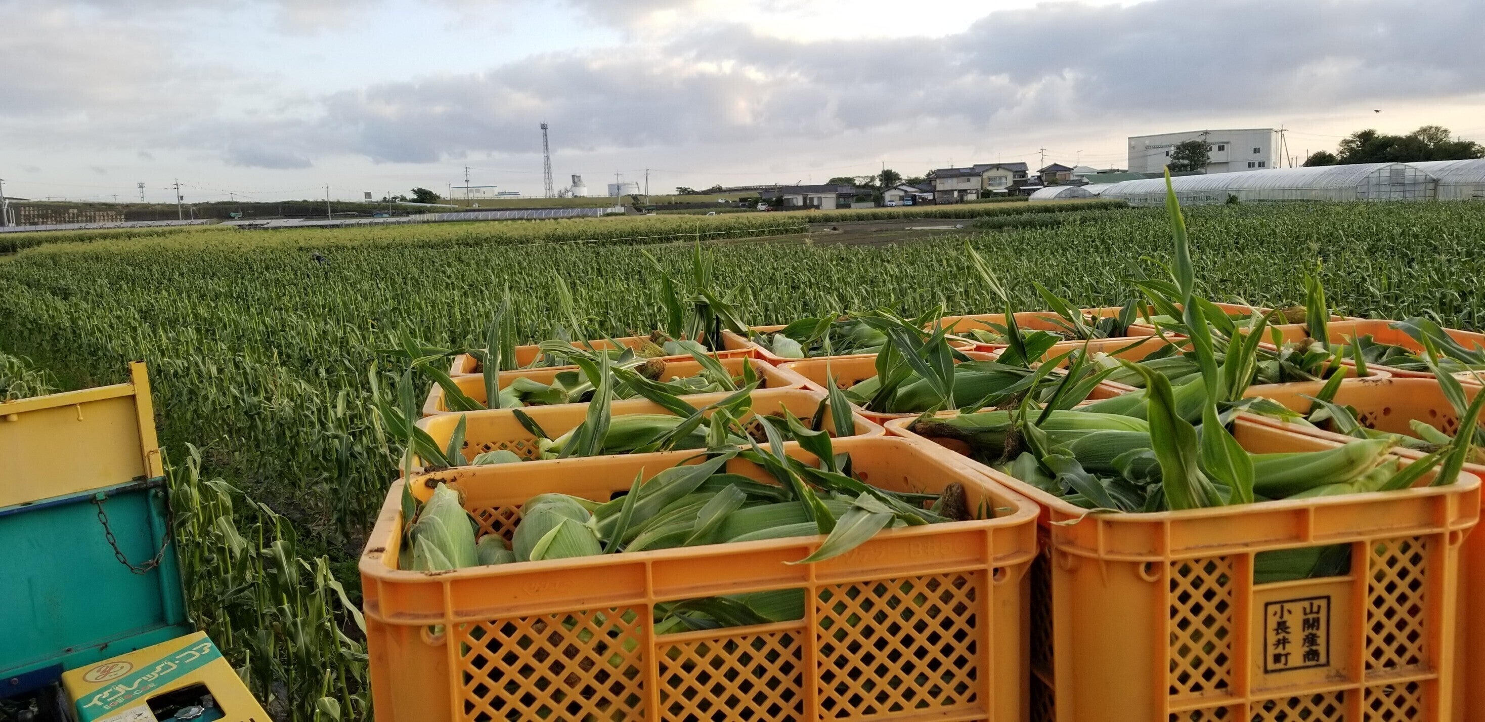 3番目のメイン画像