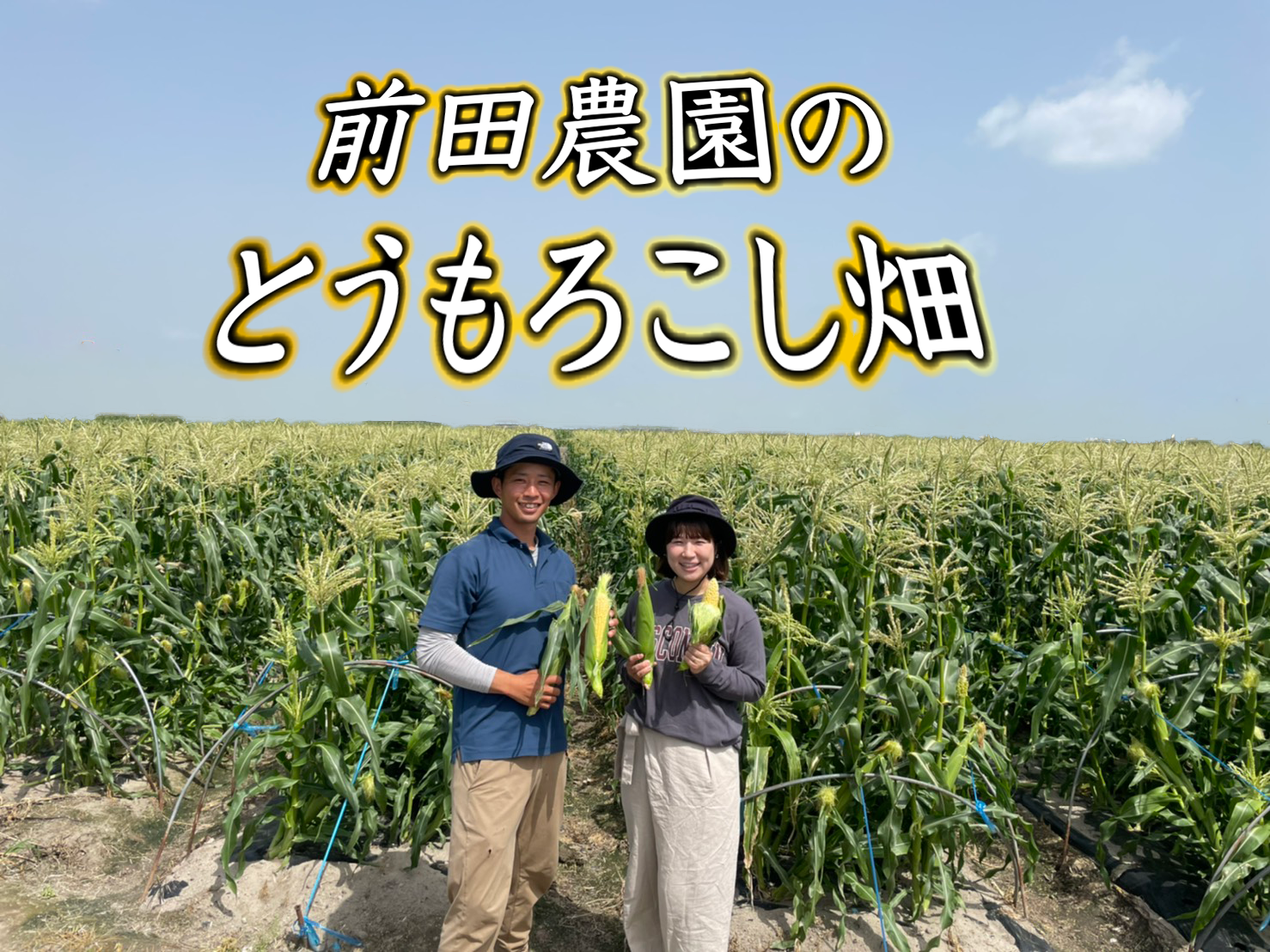 4番目のメイン画像