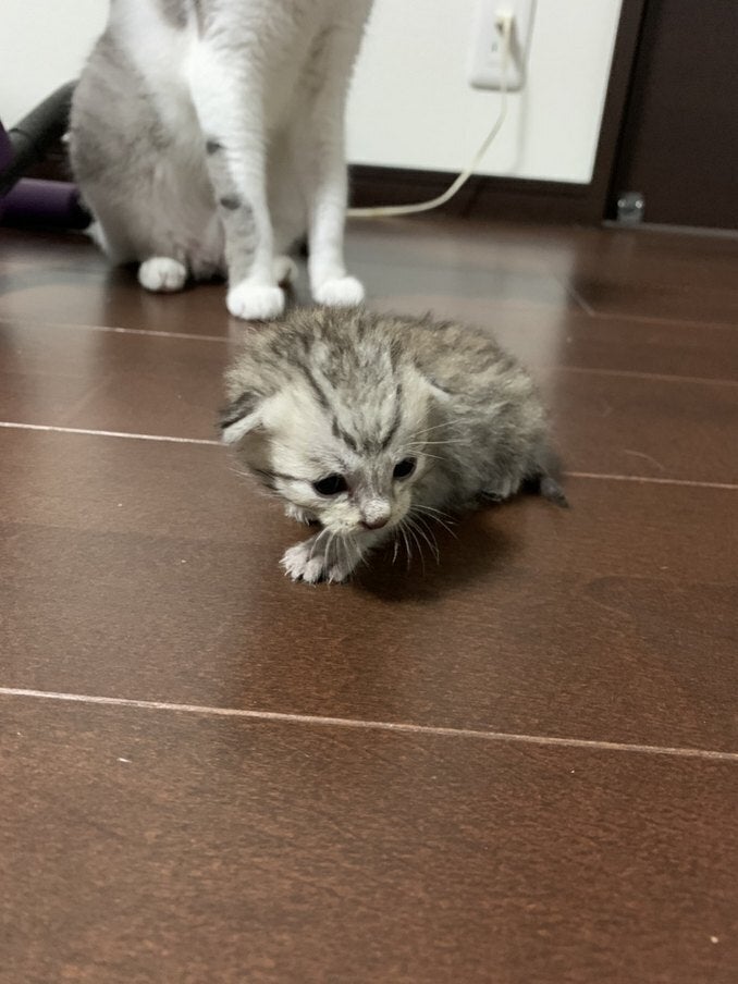 5番目のメイン画像