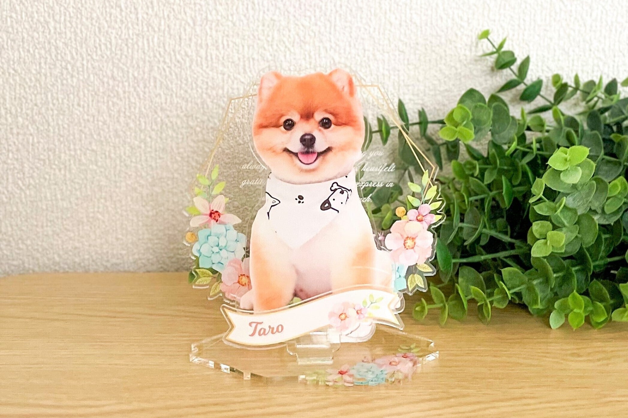 5番目のメイン画像