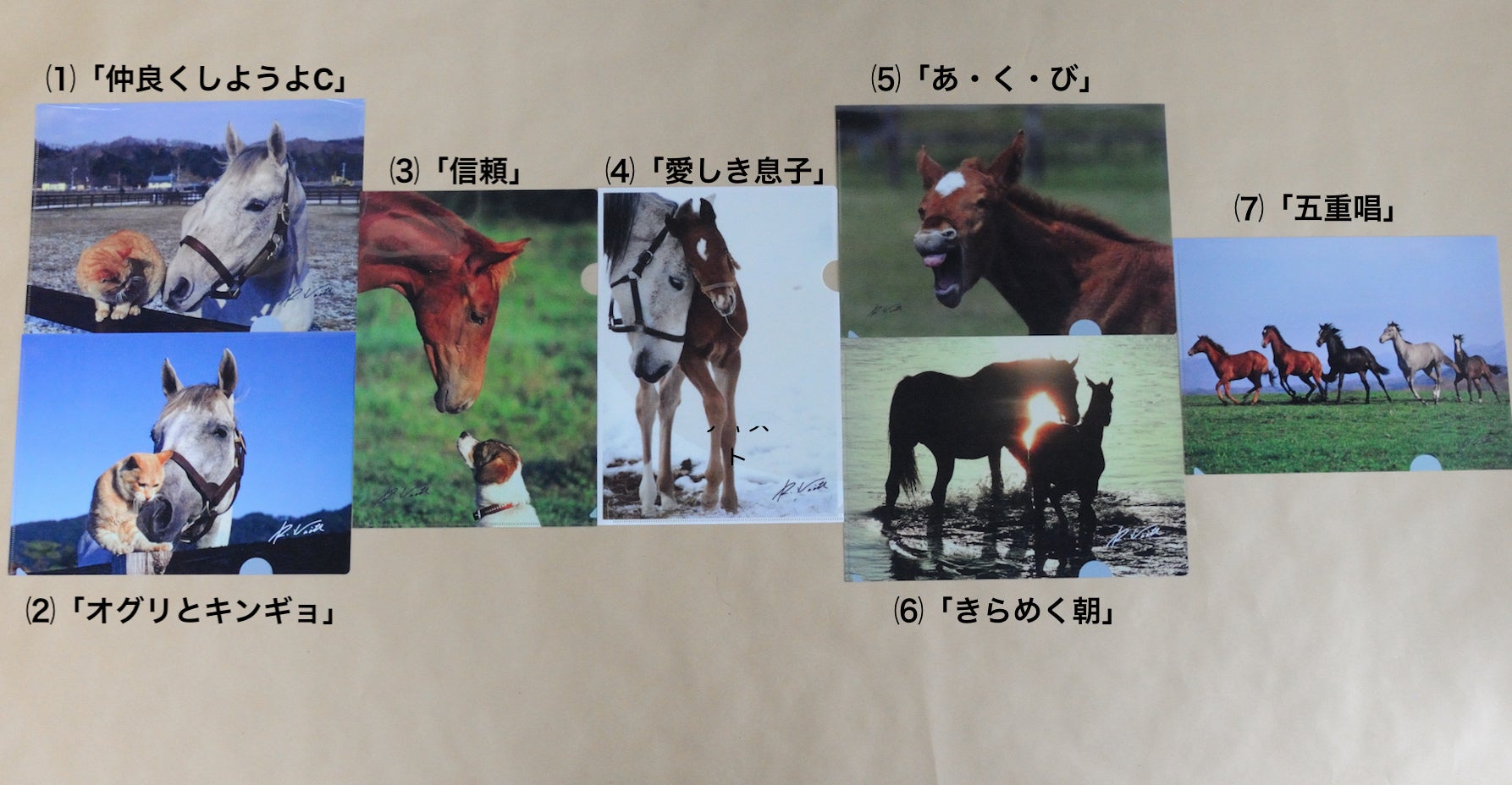 5番目のメイン画像