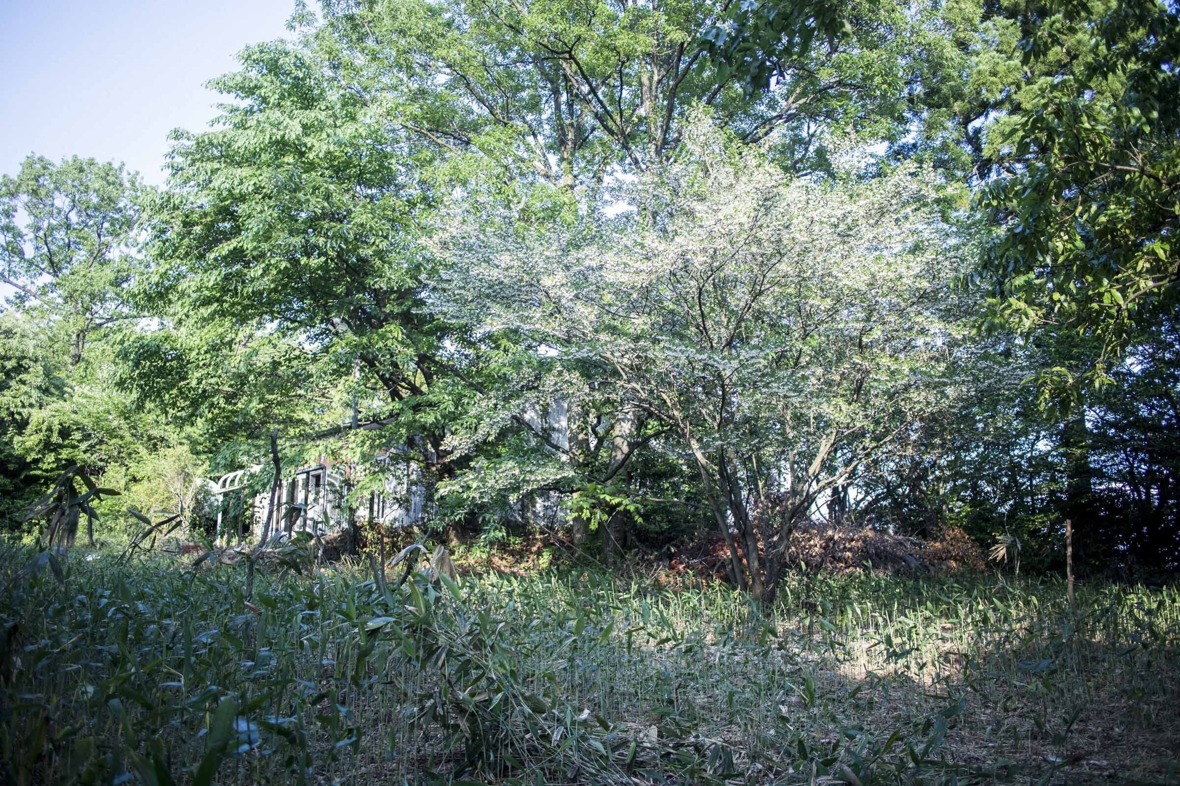 5番目のメイン画像