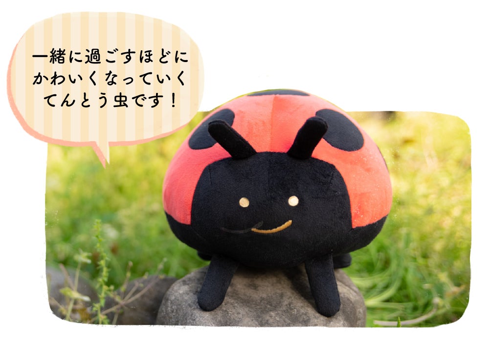 5番目のメイン画像