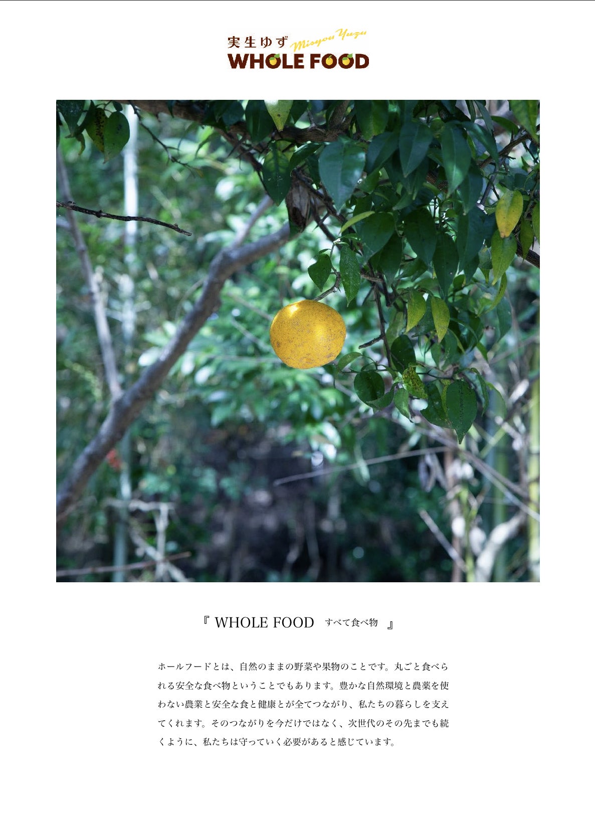 5番目のメイン画像