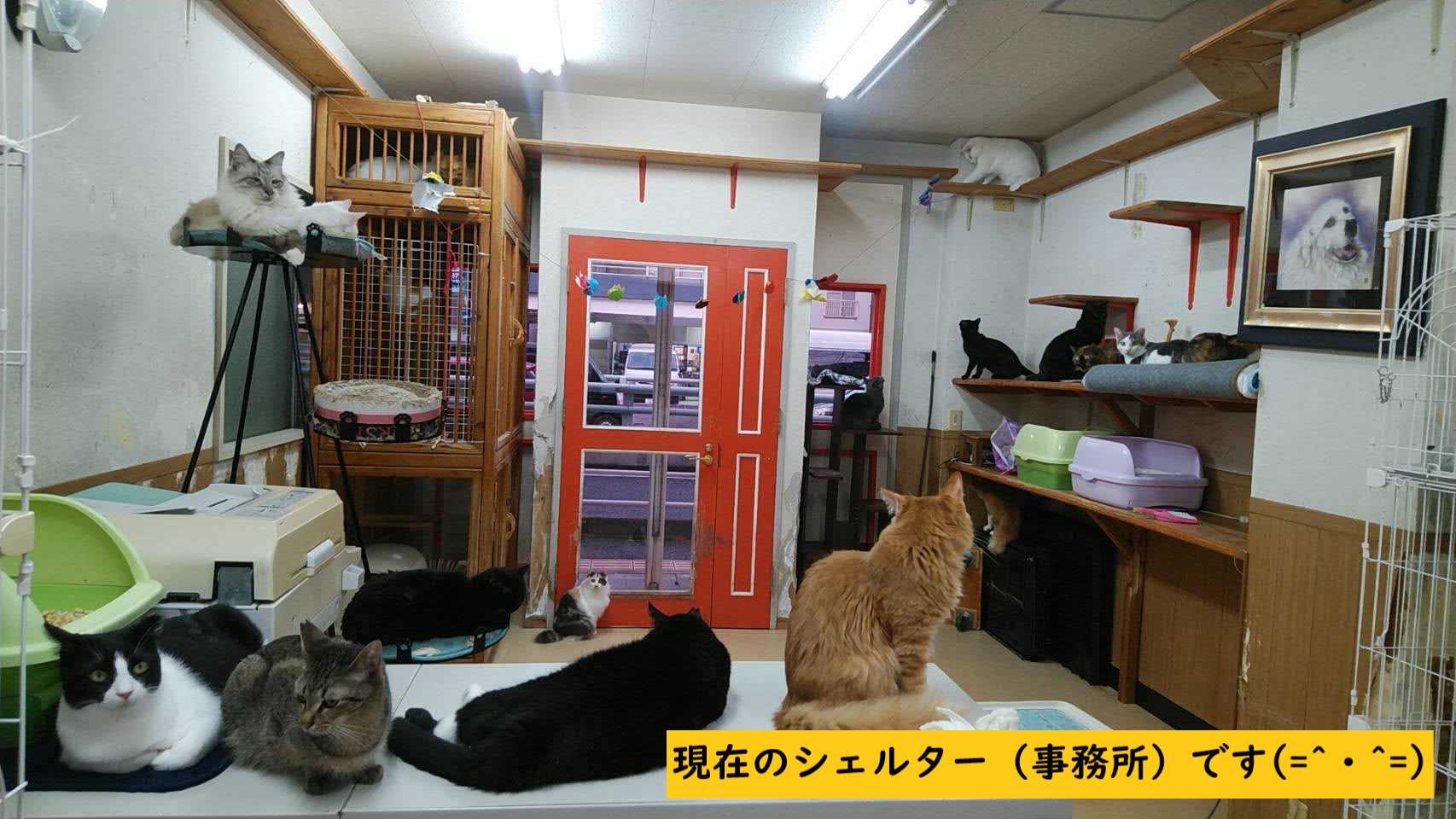 2番目のメイン画像