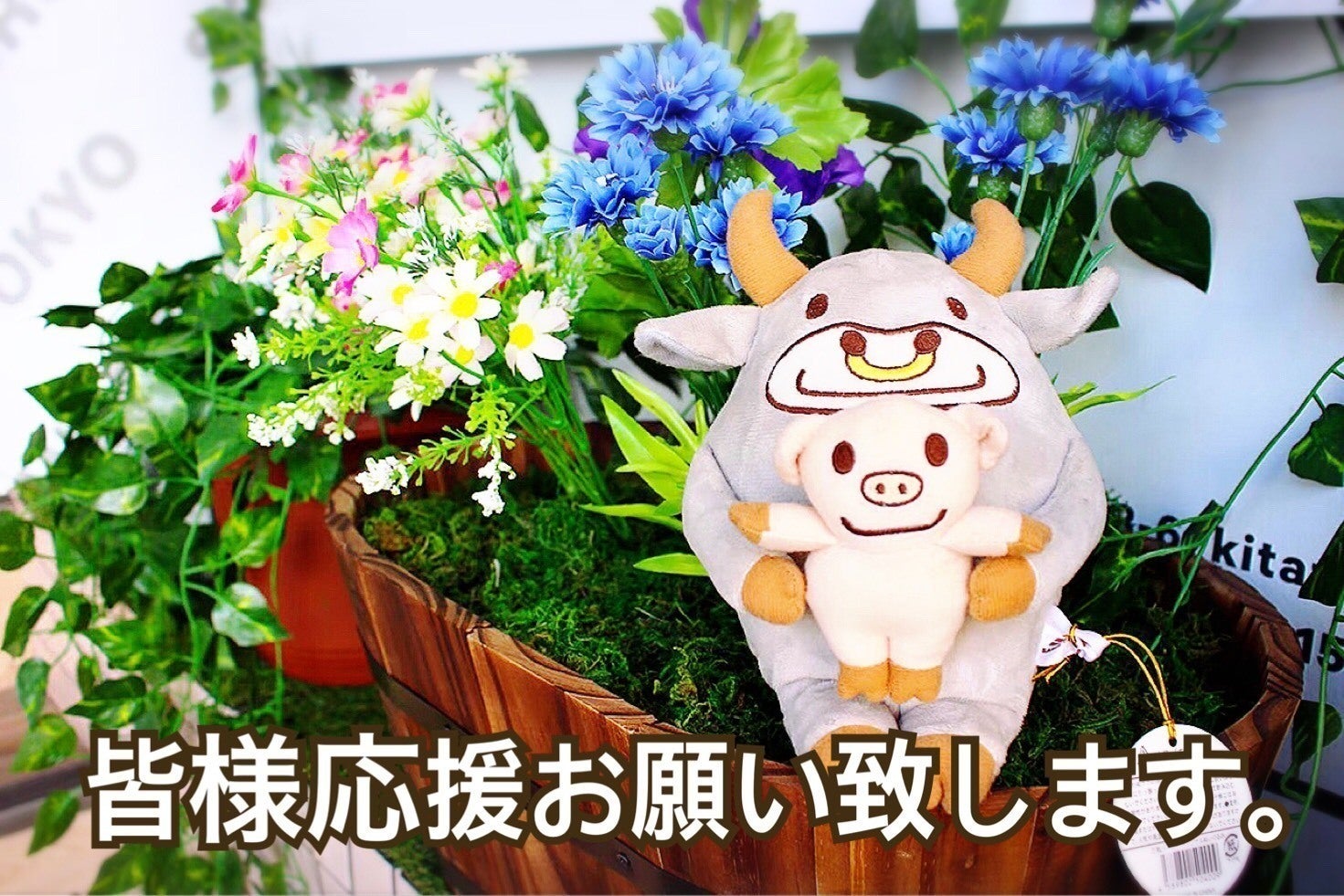 4番目のメイン画像