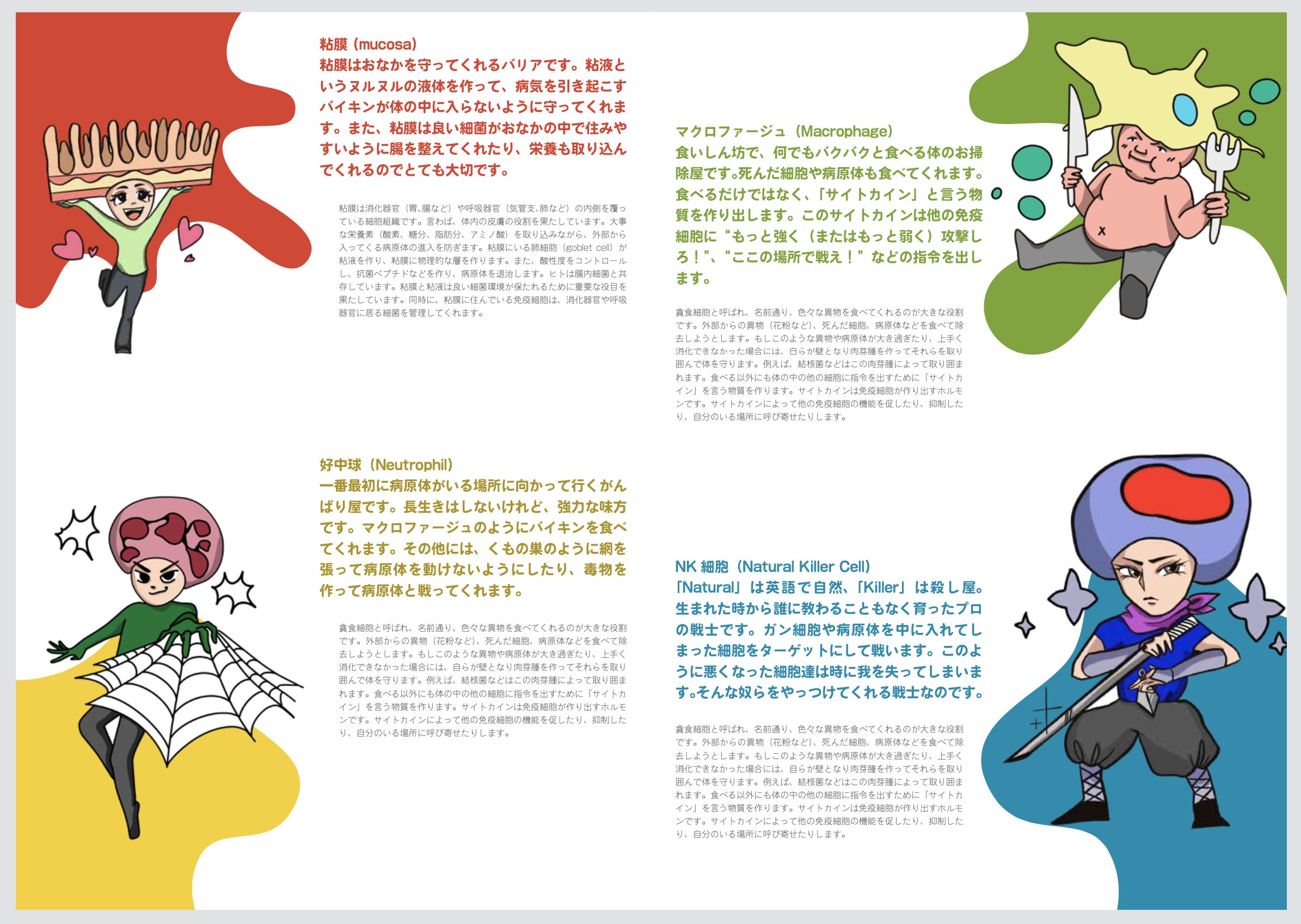 4番目のメイン画像