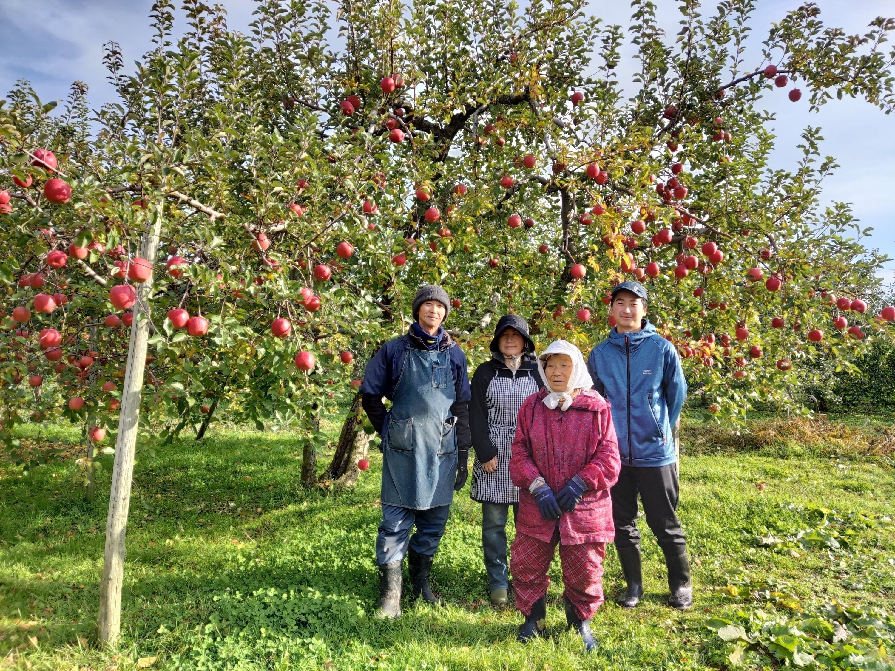 2番目のメイン画像