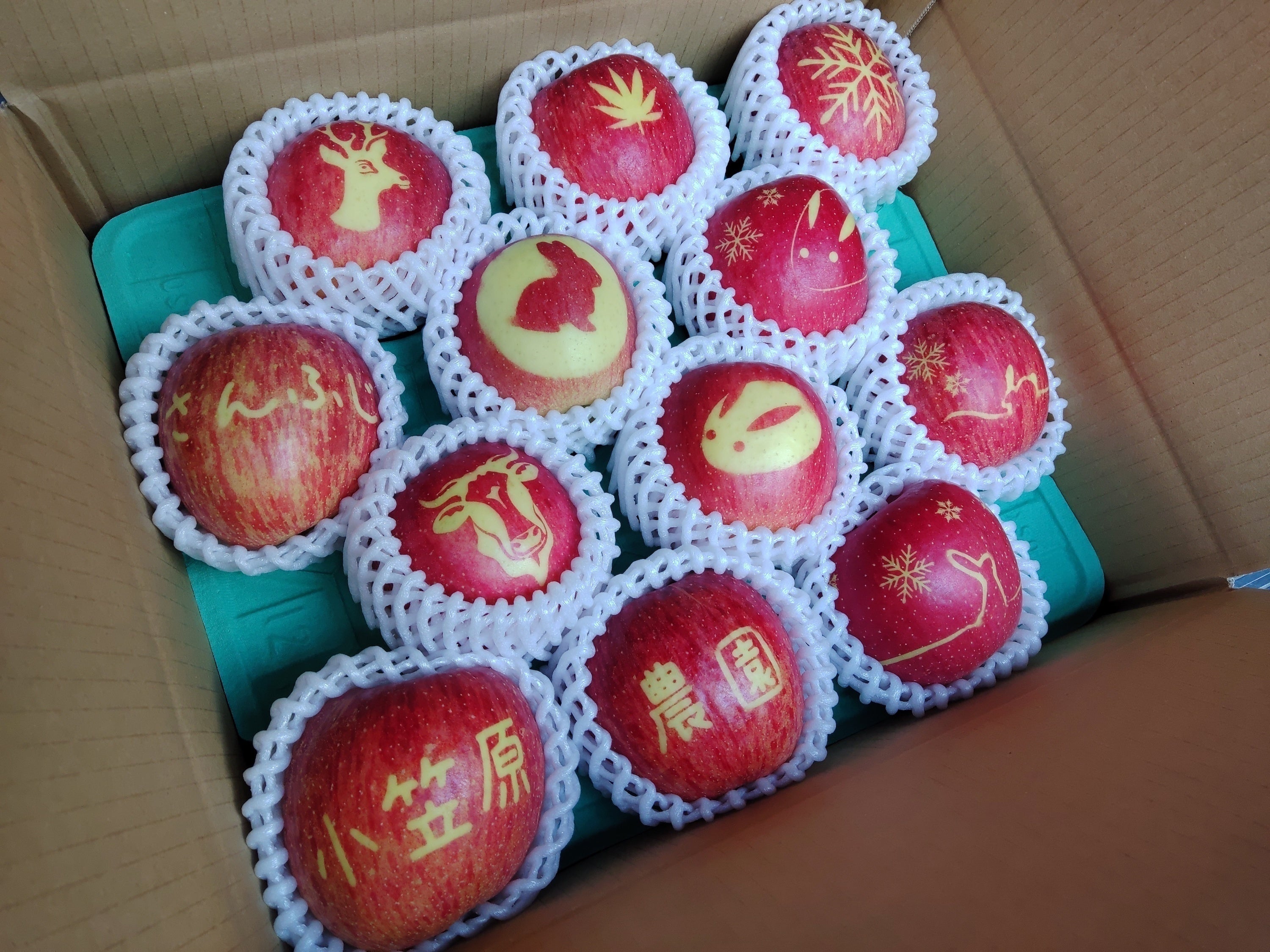 5番目のメイン画像