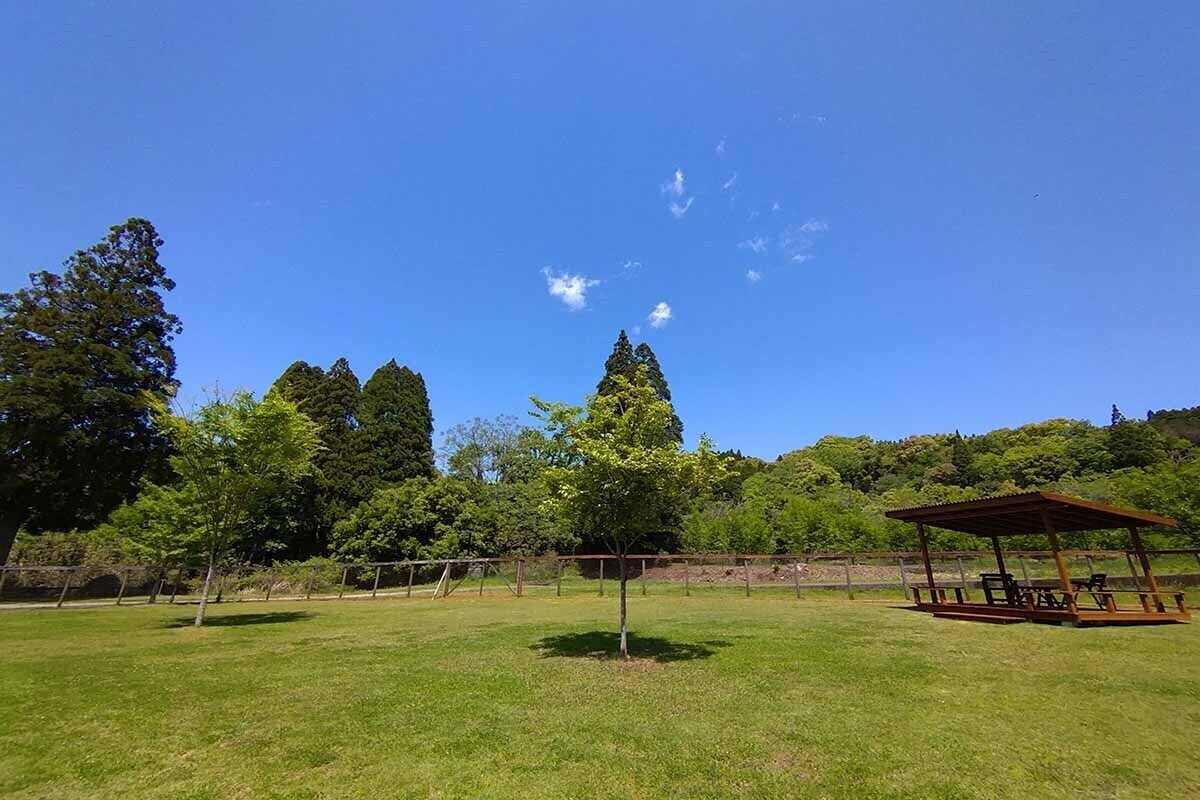 5番目のメイン画像