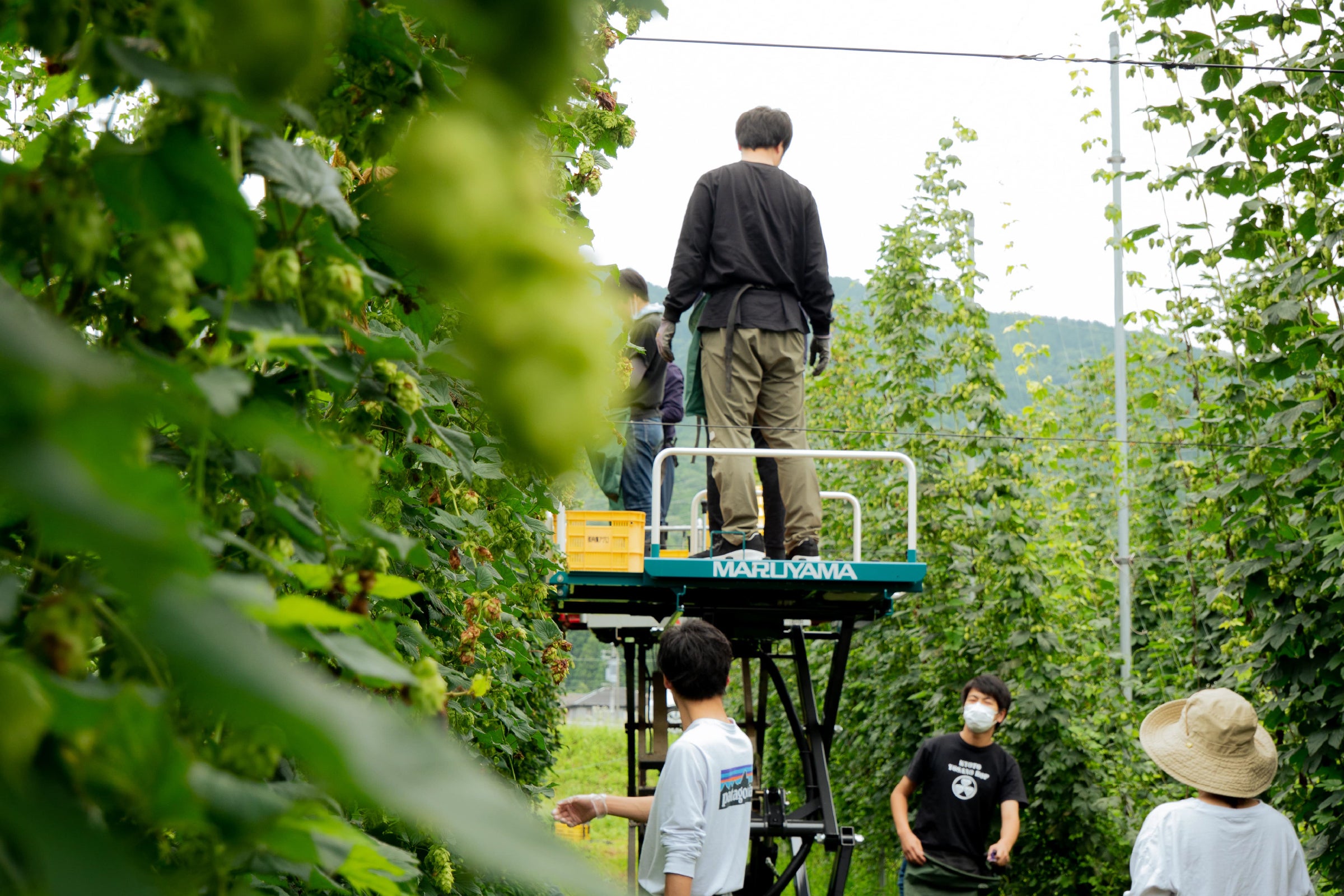 2番目のメイン画像