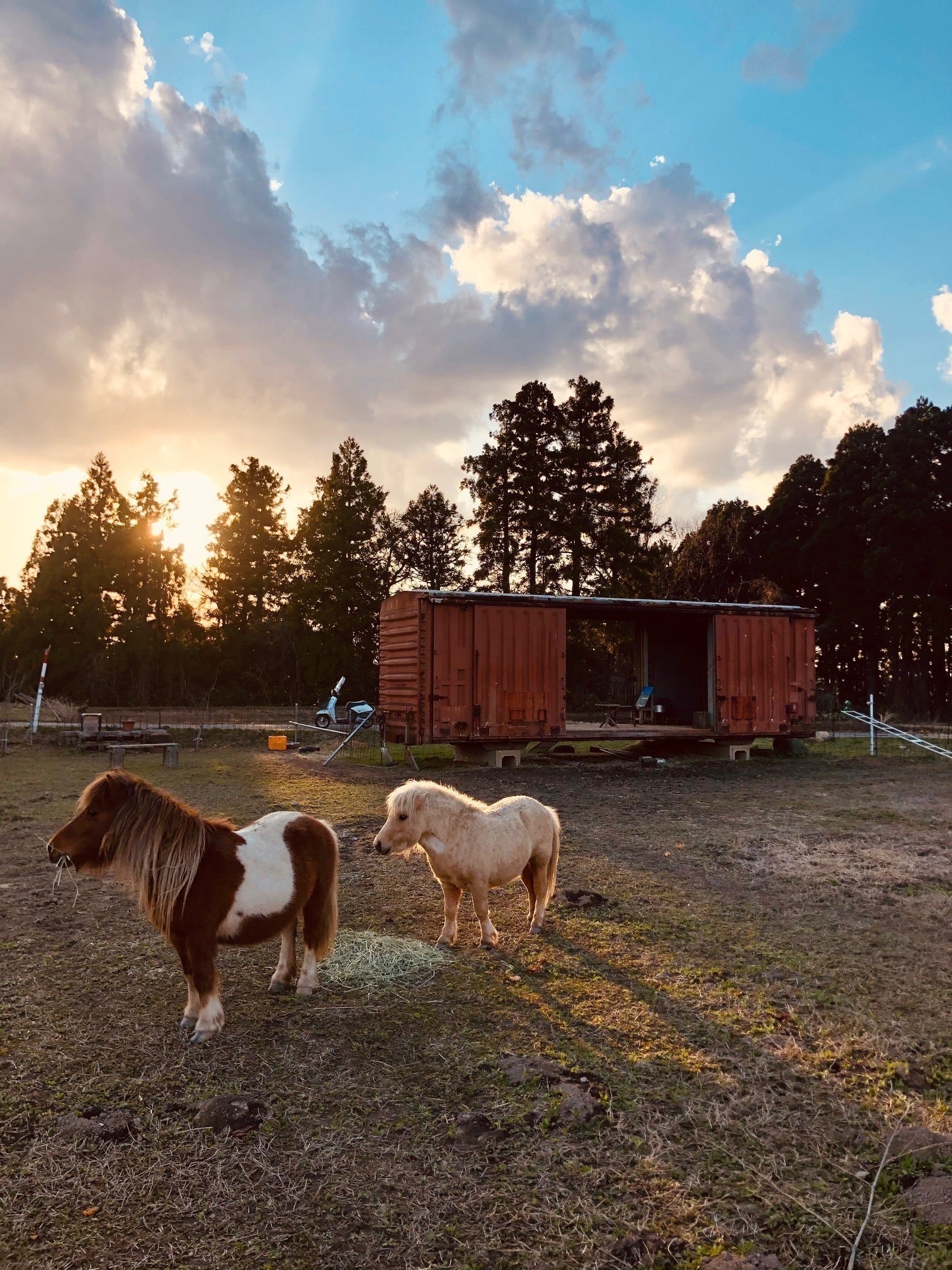 5番目のメイン画像