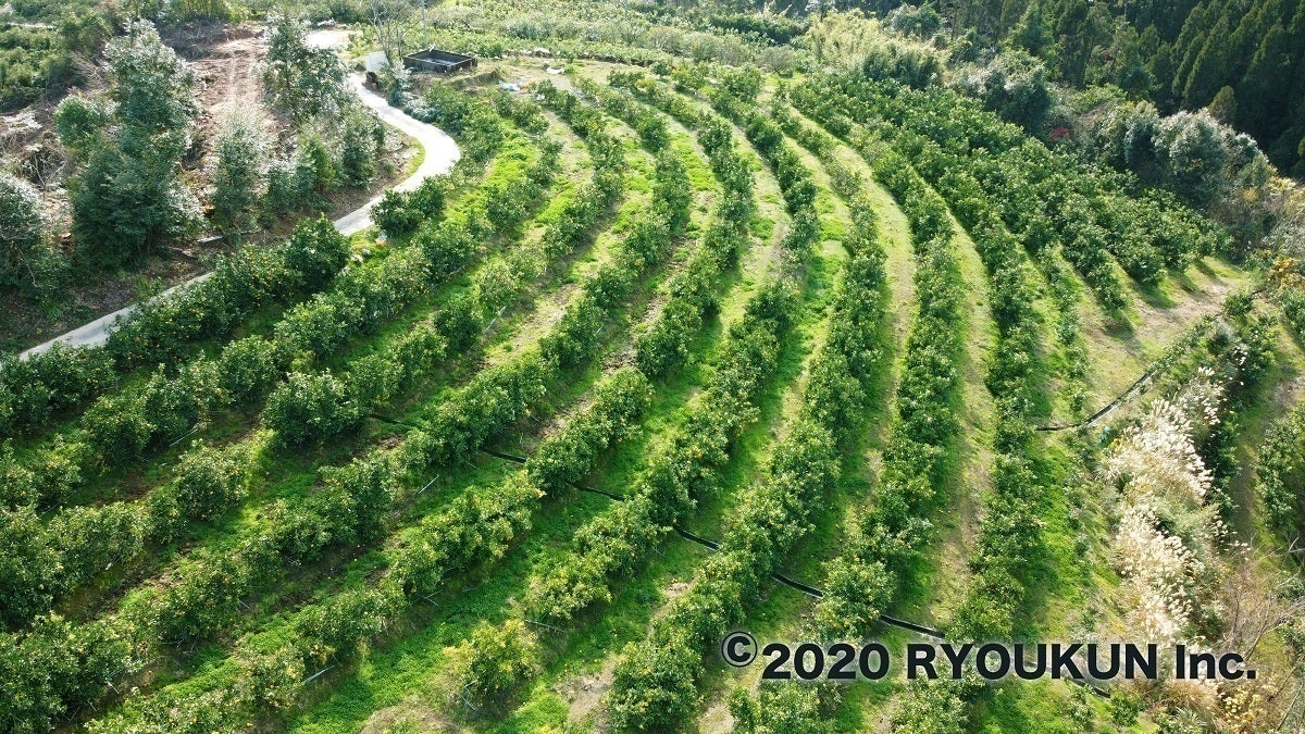 3番目のメイン画像