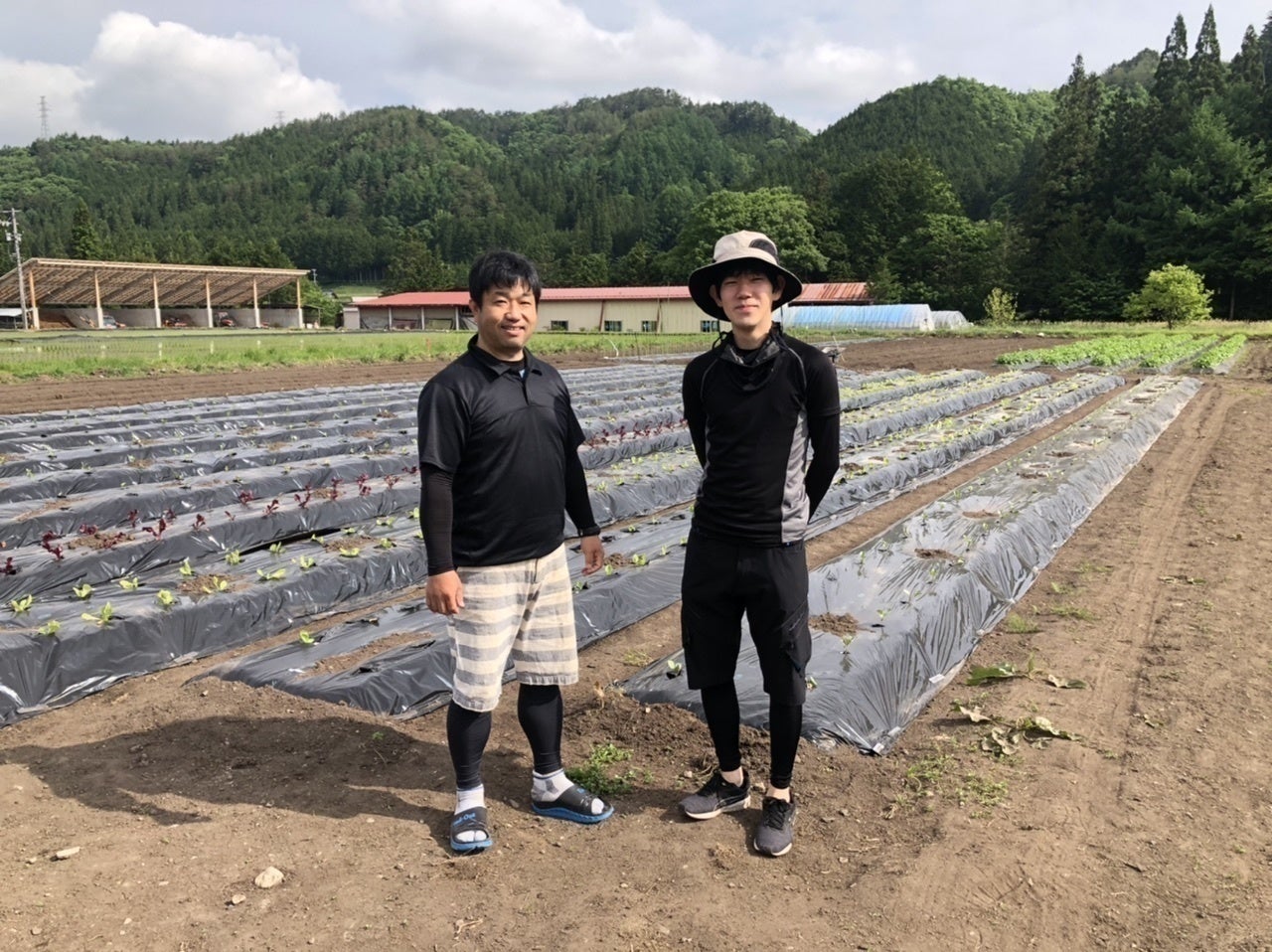 2番目のメイン画像