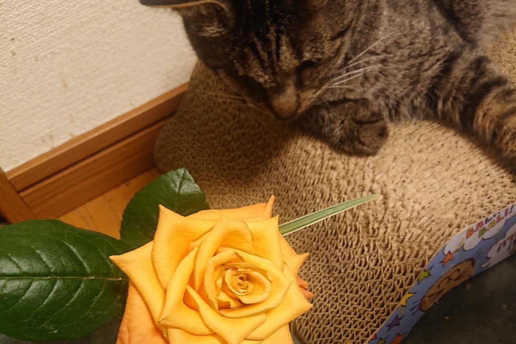 1番目のメイン画像