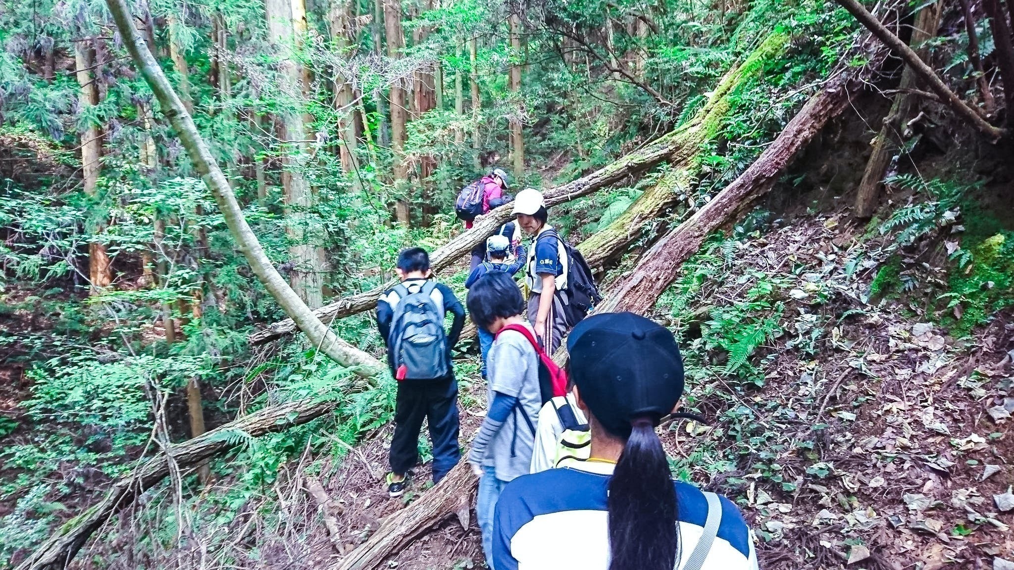 3番目のメイン画像