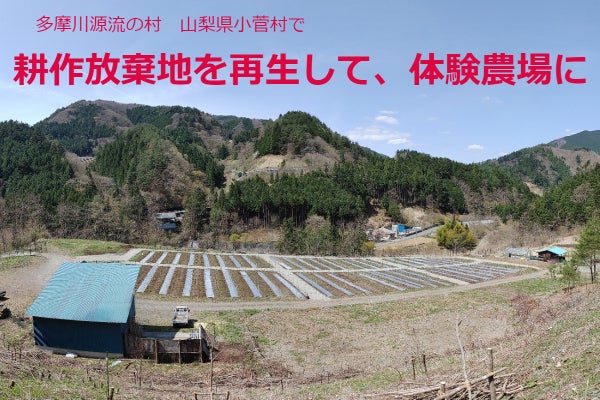 1番目のメイン画像