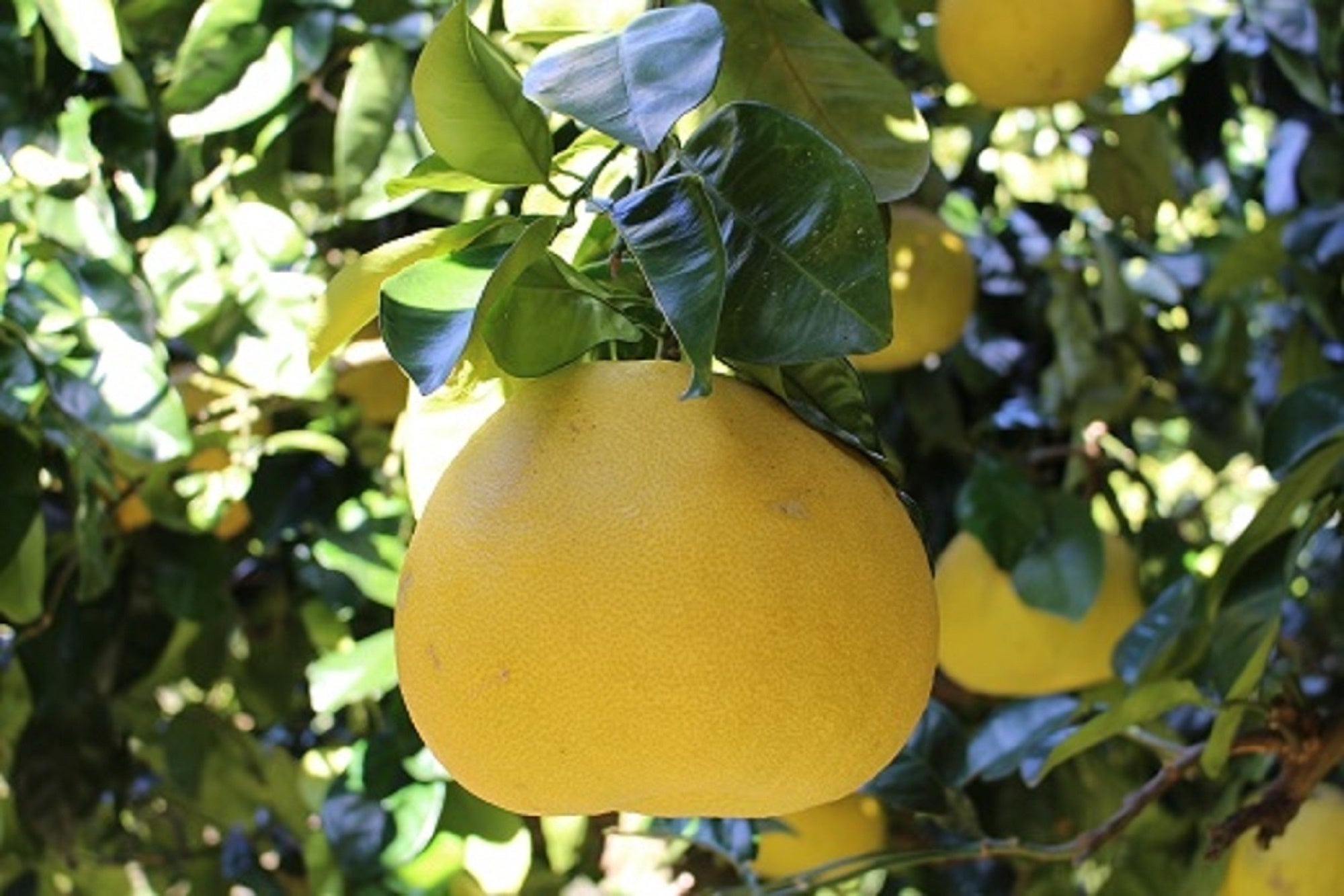 3番目のメイン画像