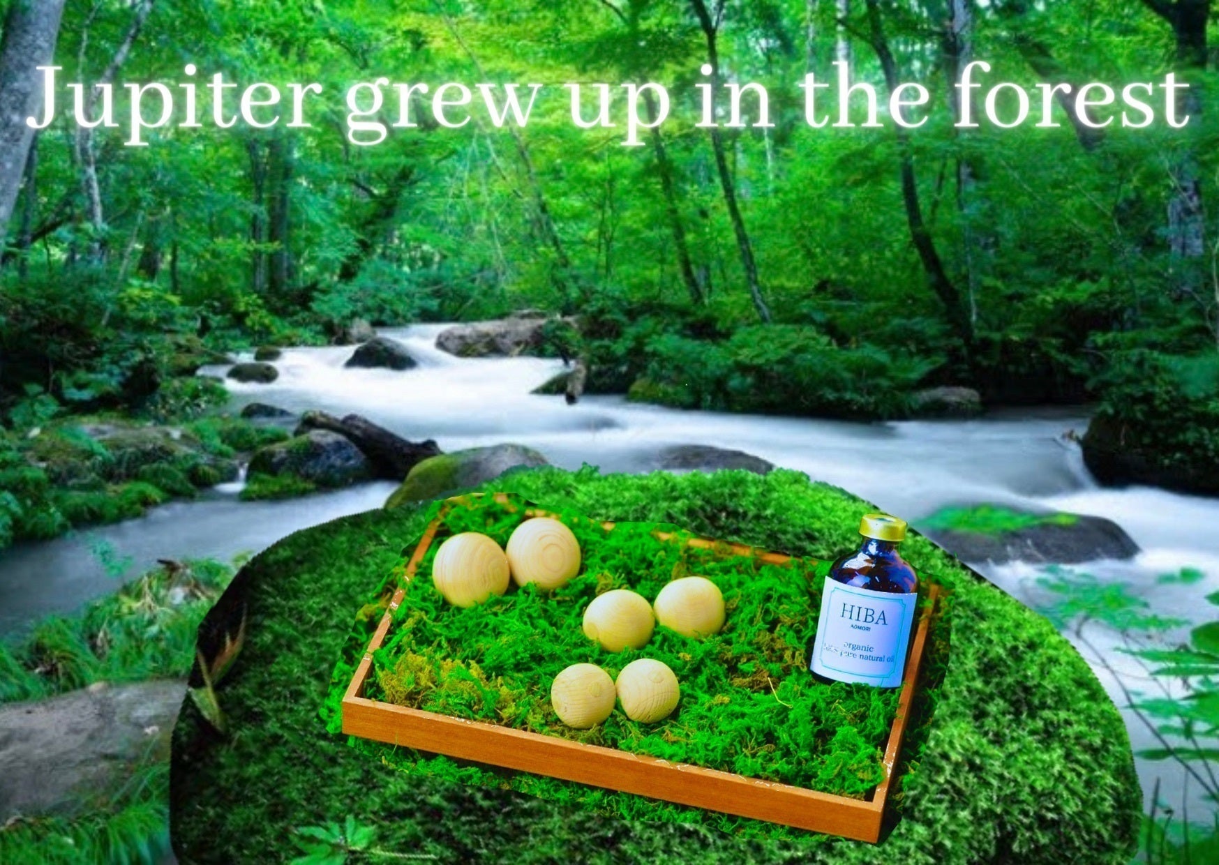 2番目のメイン画像