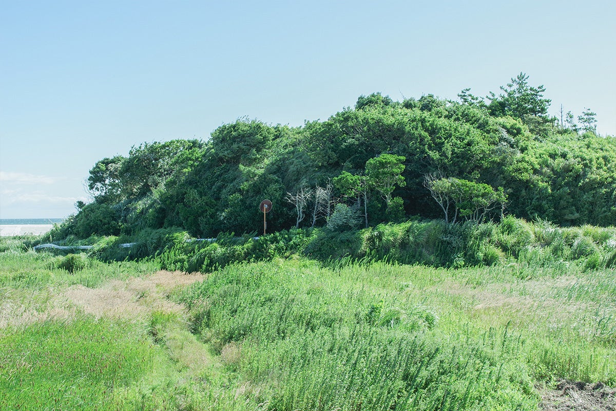 3番目のメイン画像