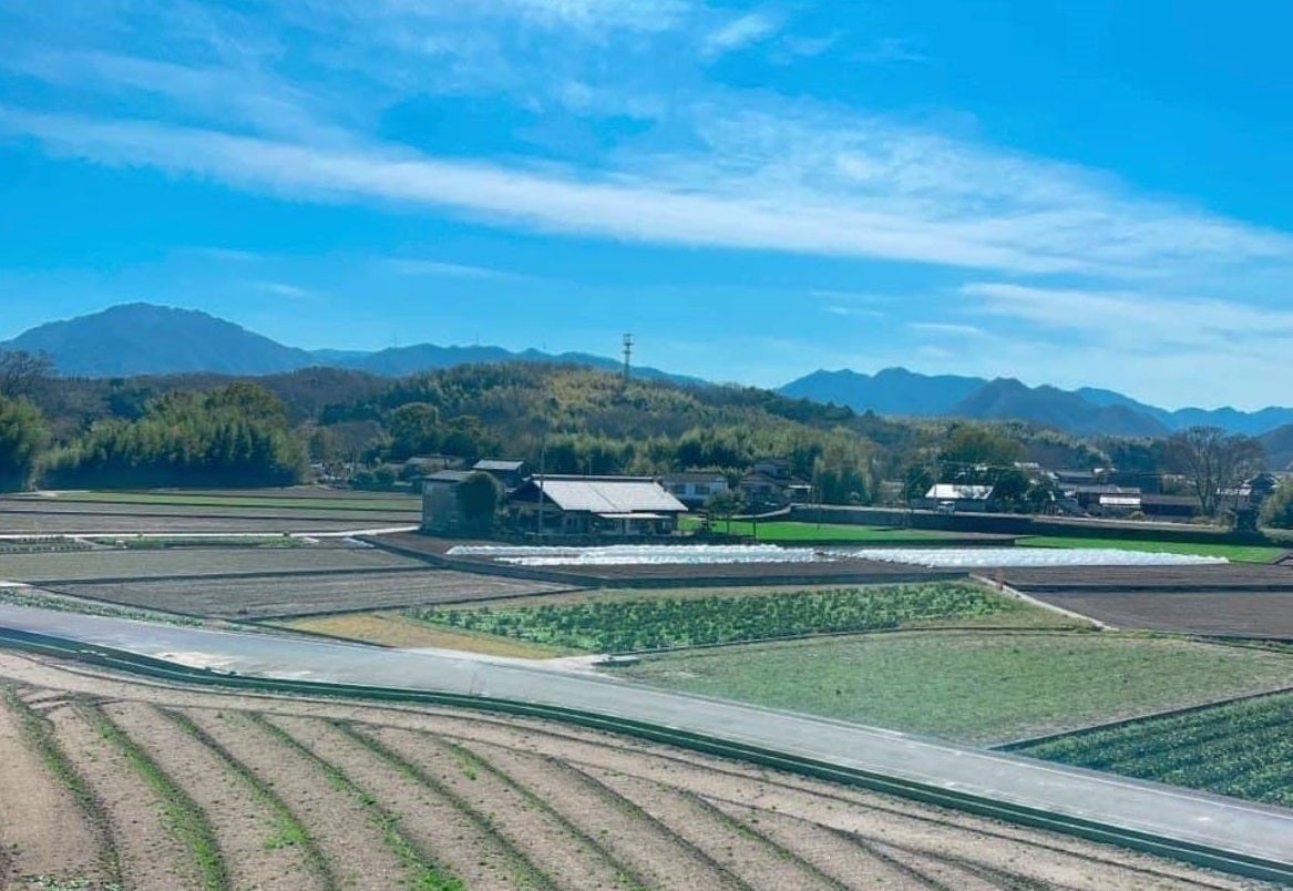 2番目のメイン画像