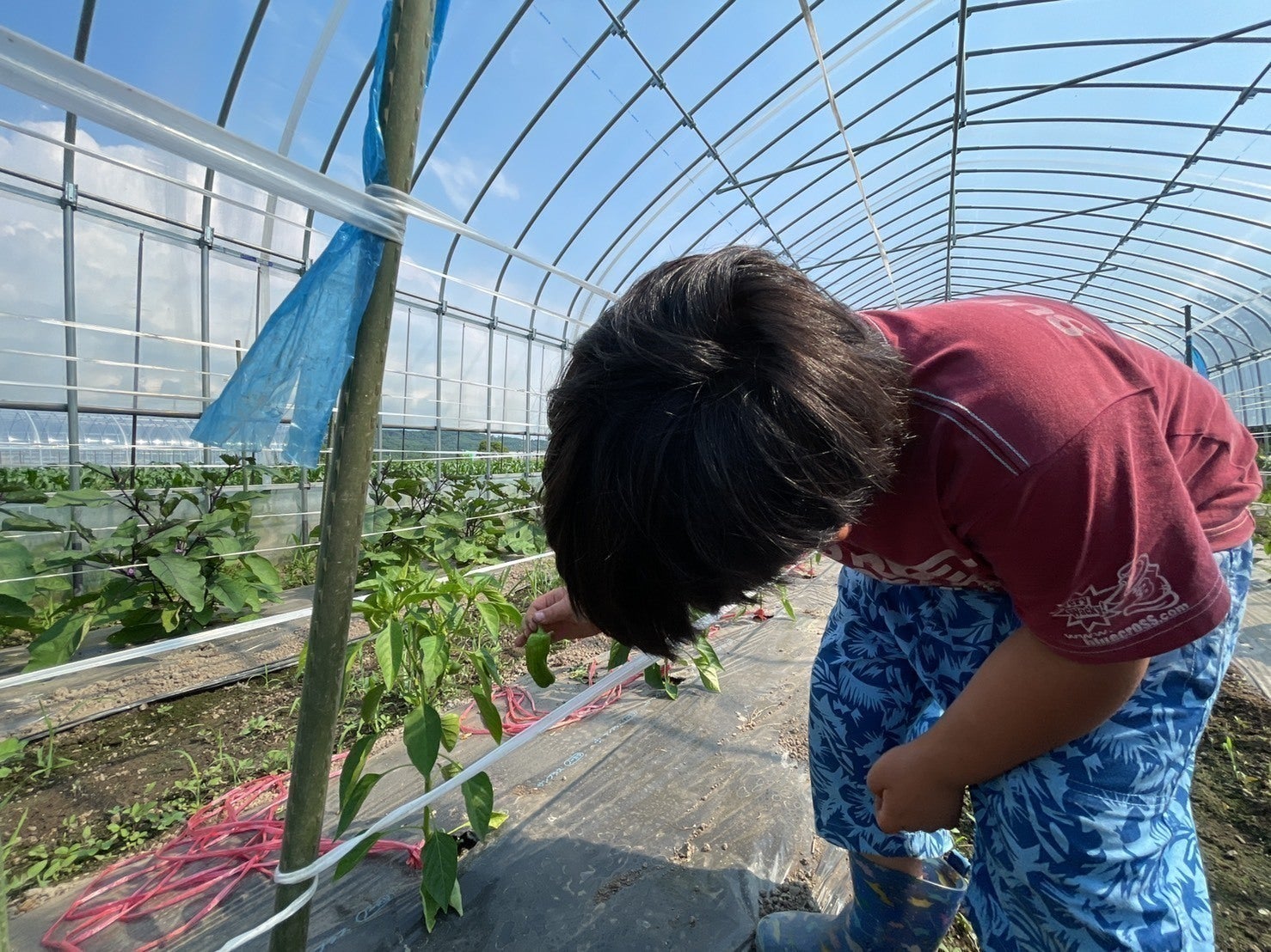 4番目のメイン画像