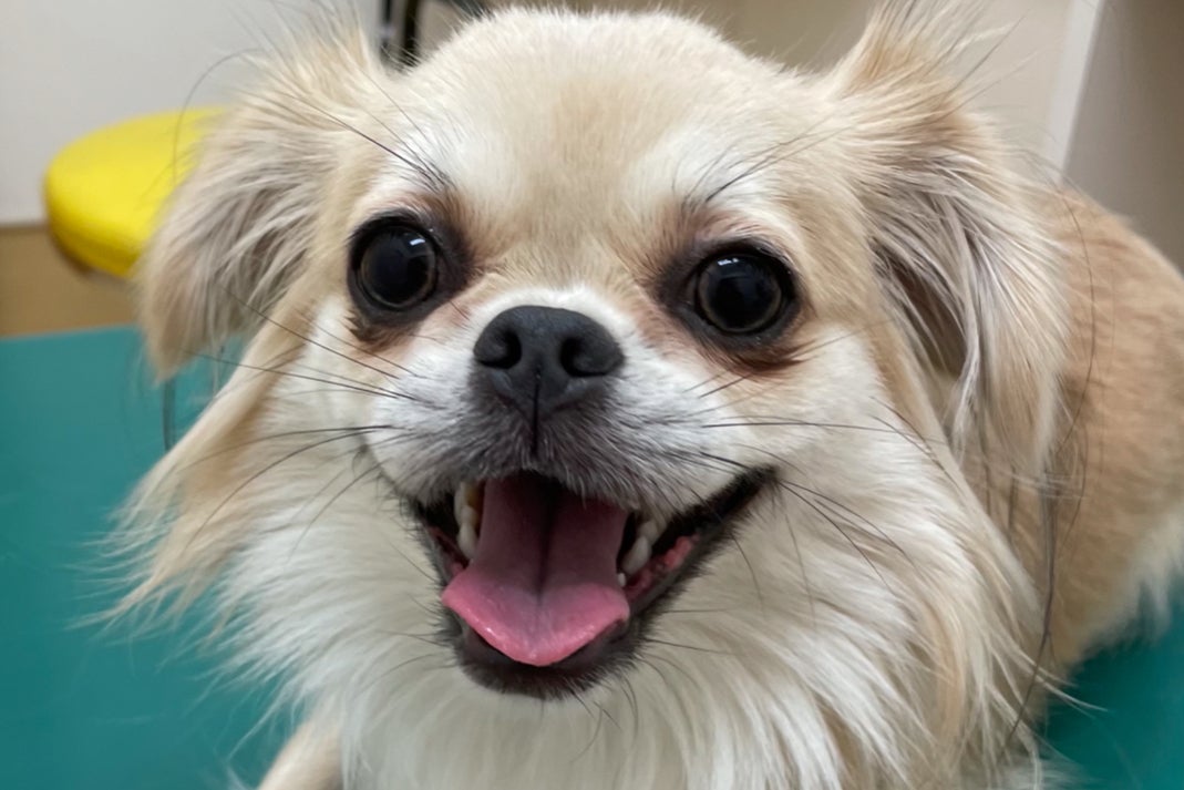 1番目のメイン画像