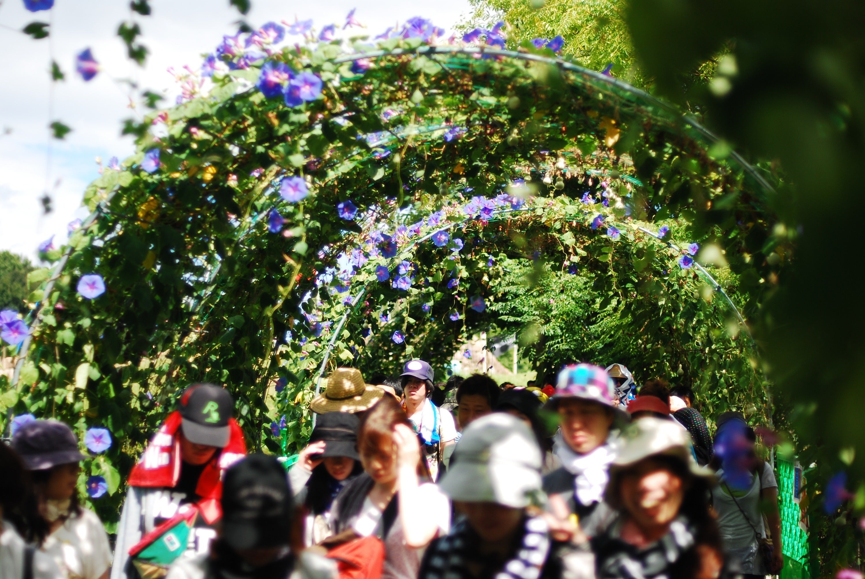 5番目のメイン画像